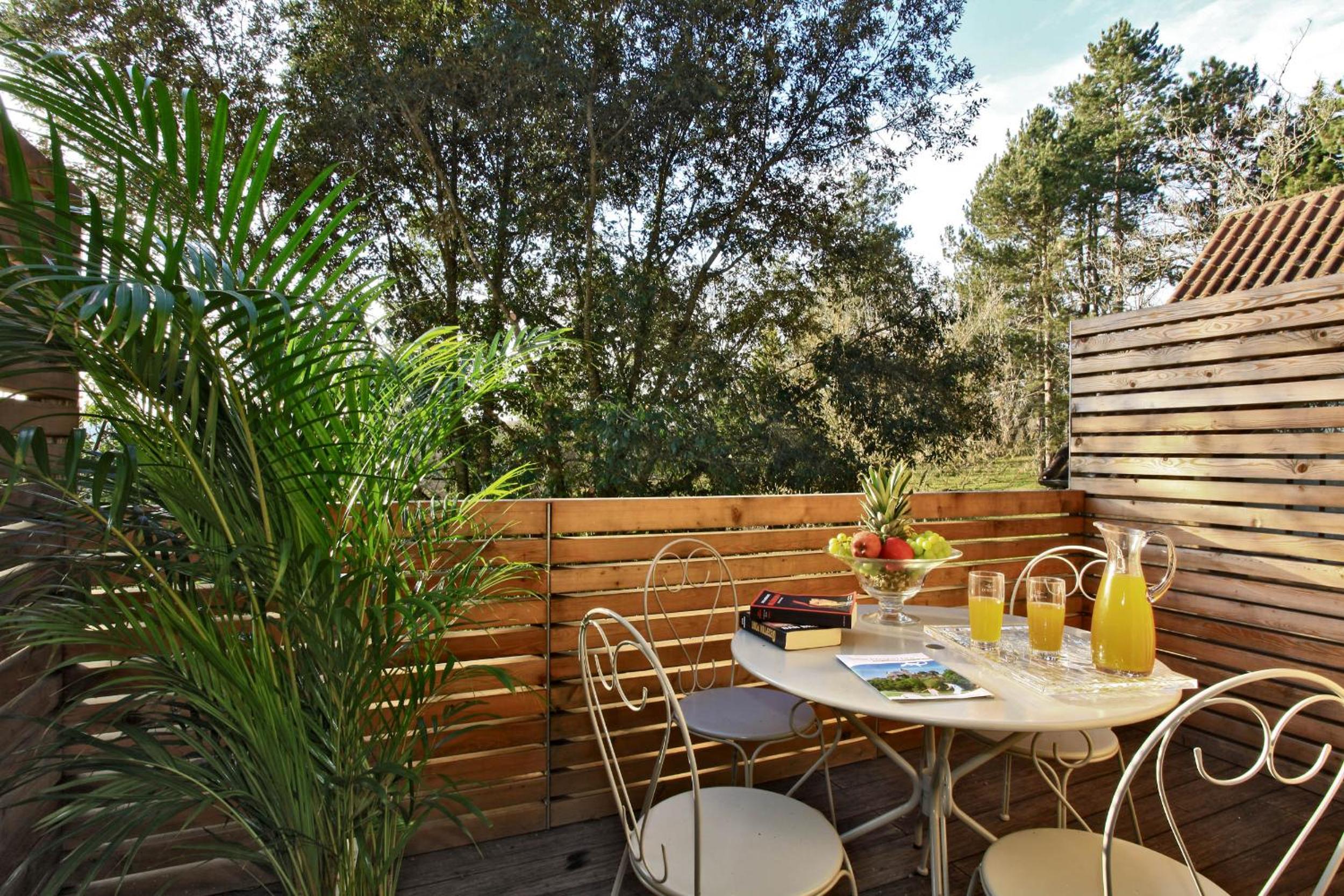 Deluxe Two-Bedroom Apartment with Private Terrace photo 1