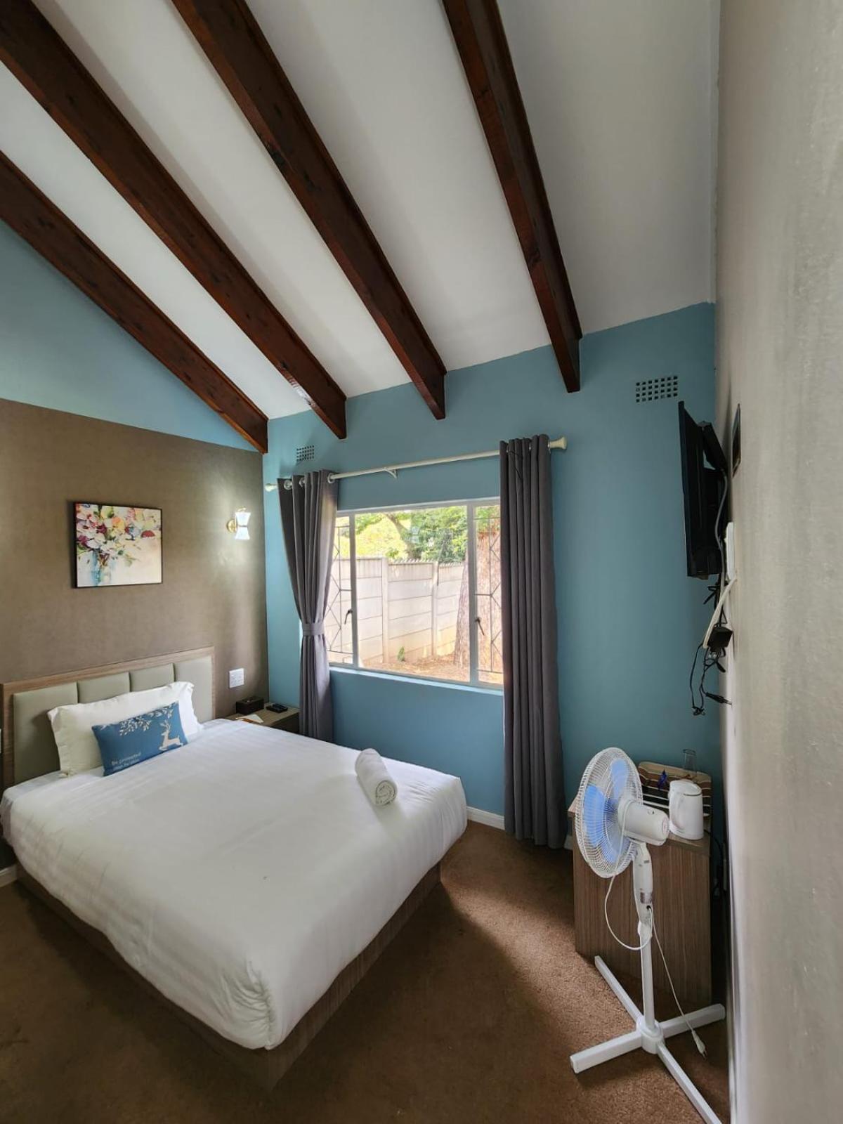 Superior Single Room photo 2