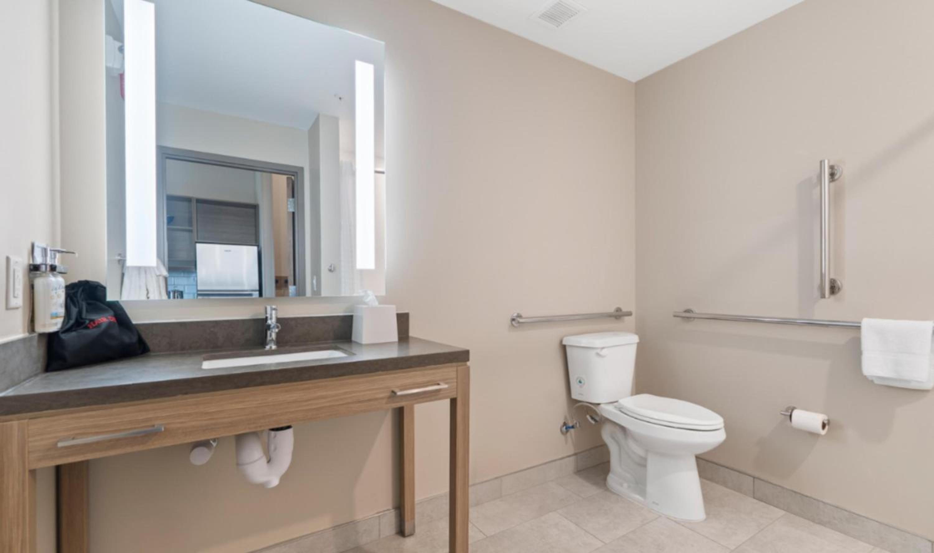 King Studio with Communications/Mobility Accessible Tub