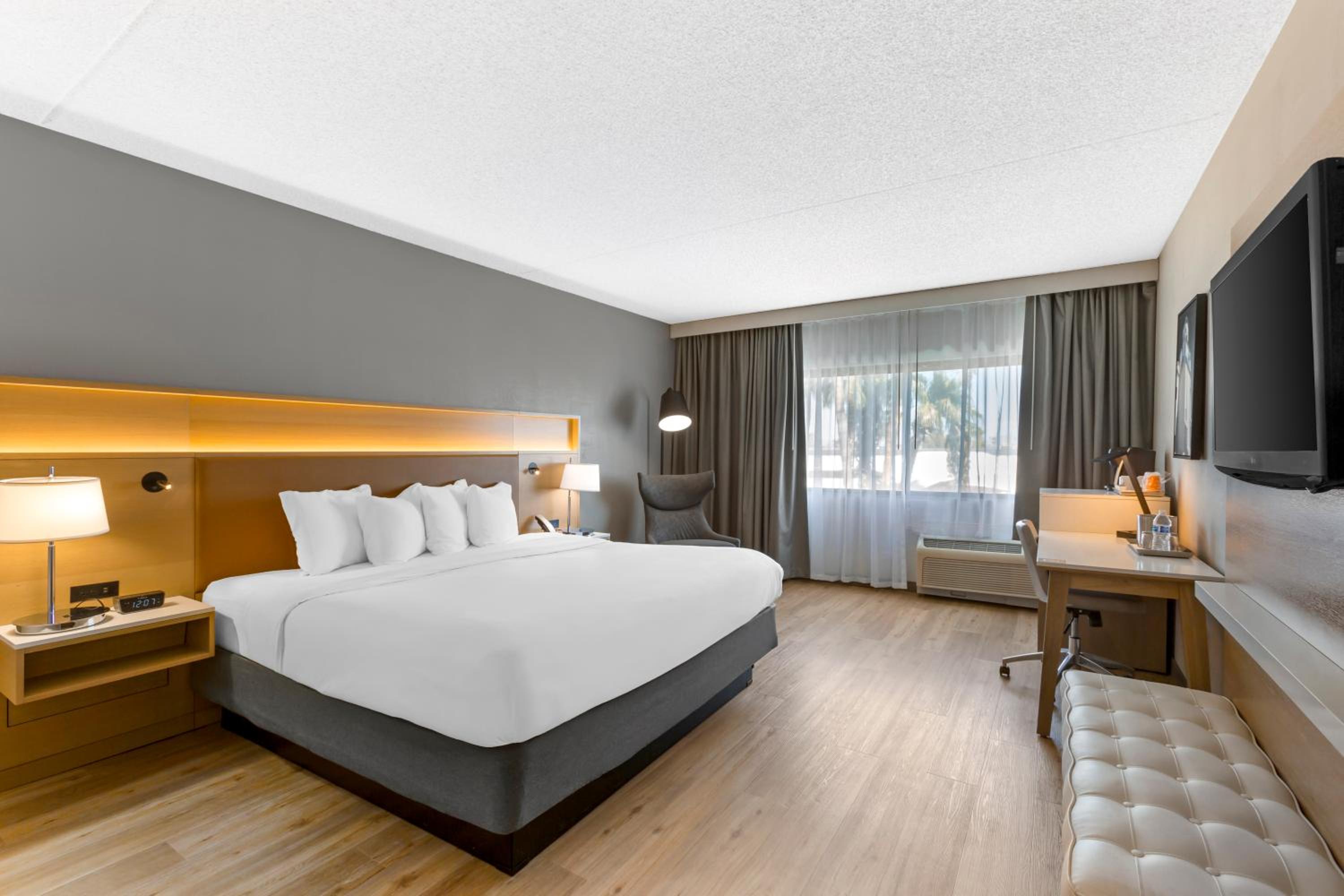 King Room - Non Smoking - Photo 4