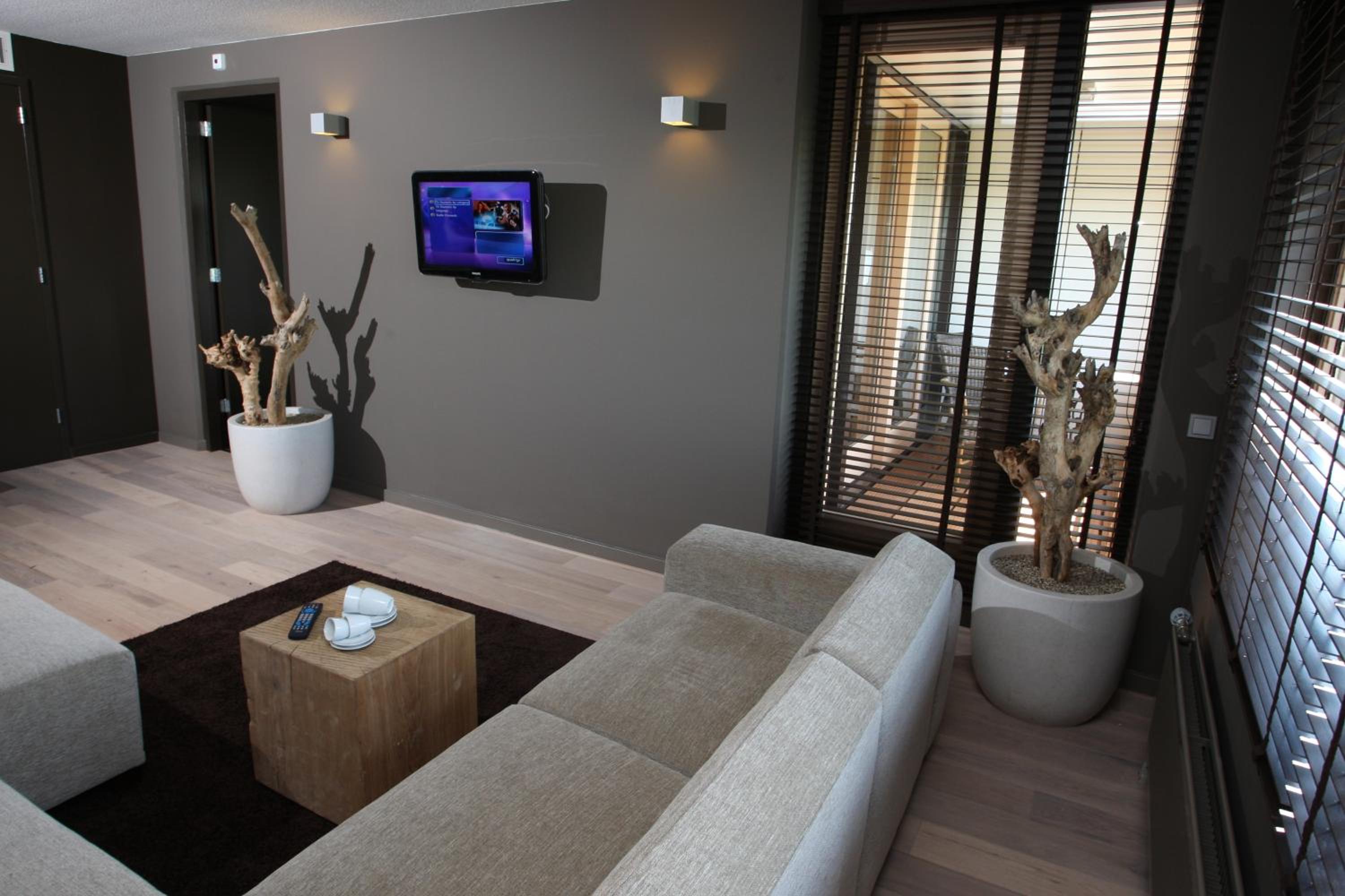 Suite - Photo 4