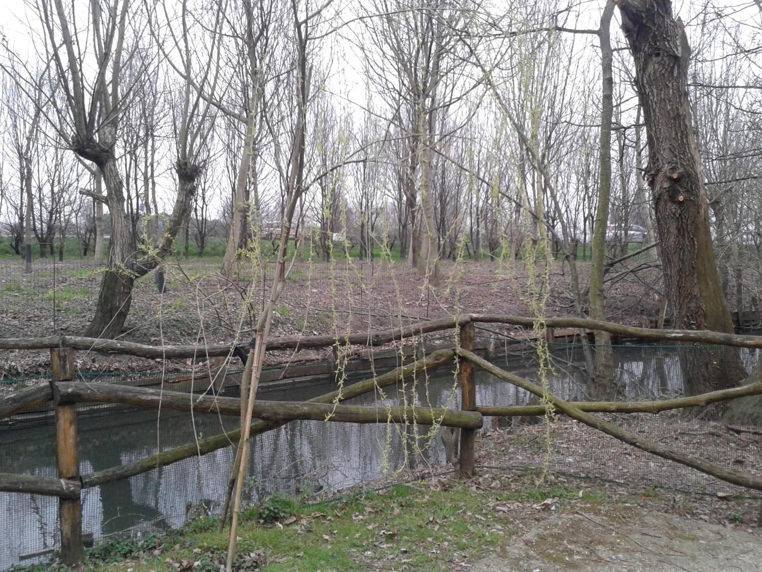 Cascina Scanna, 写真 3
