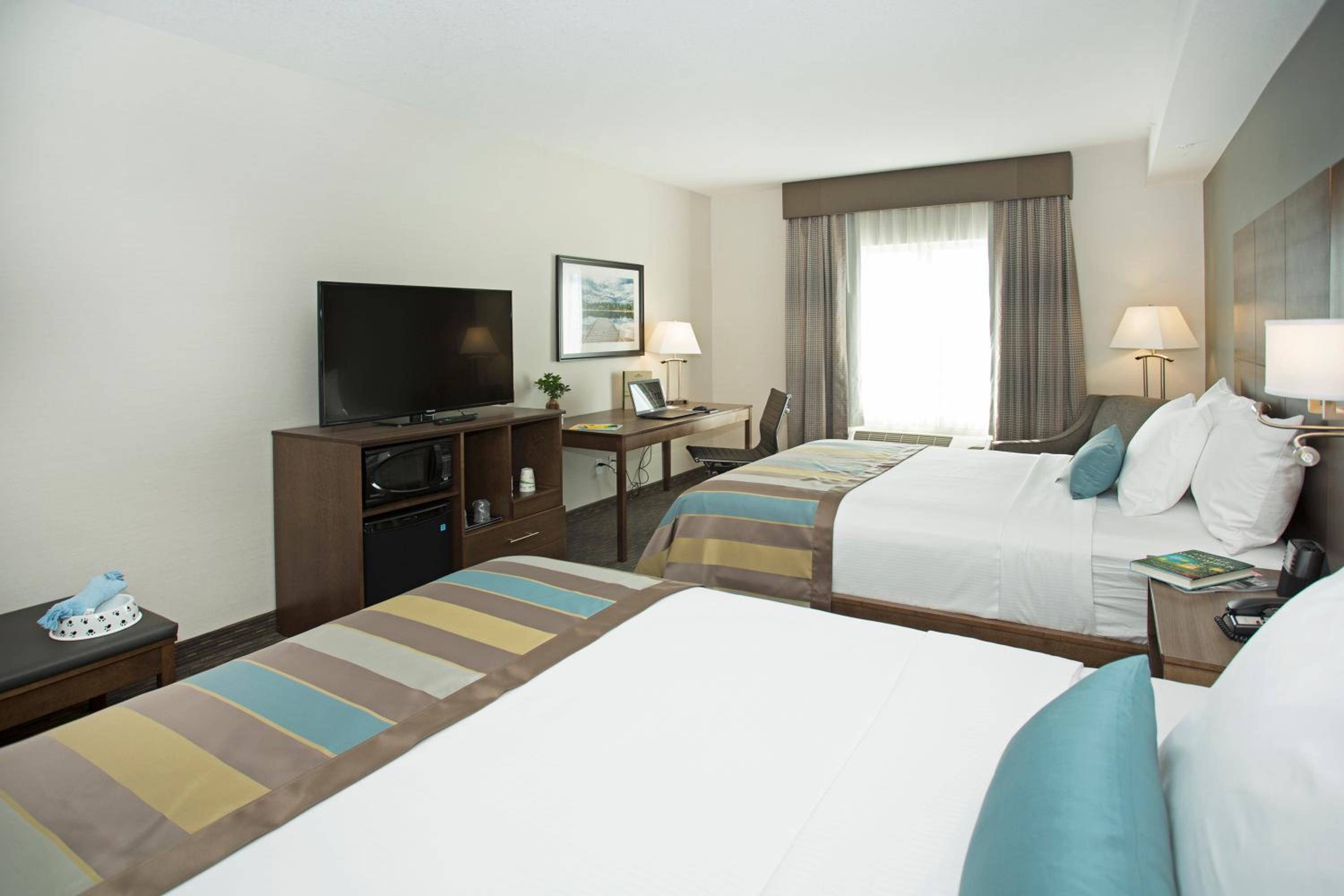 Deluxe Queen Room - Disability Access/Non-Smoking