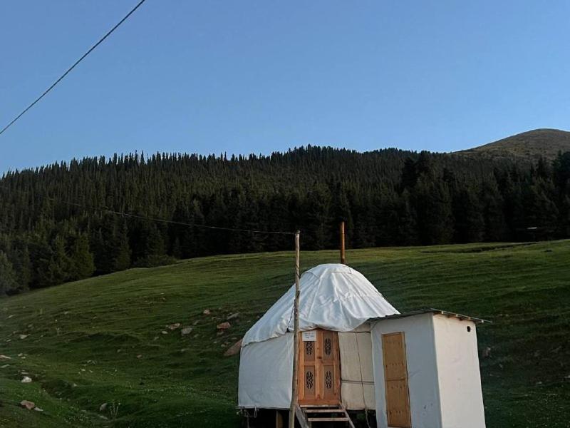 Tent photo 1