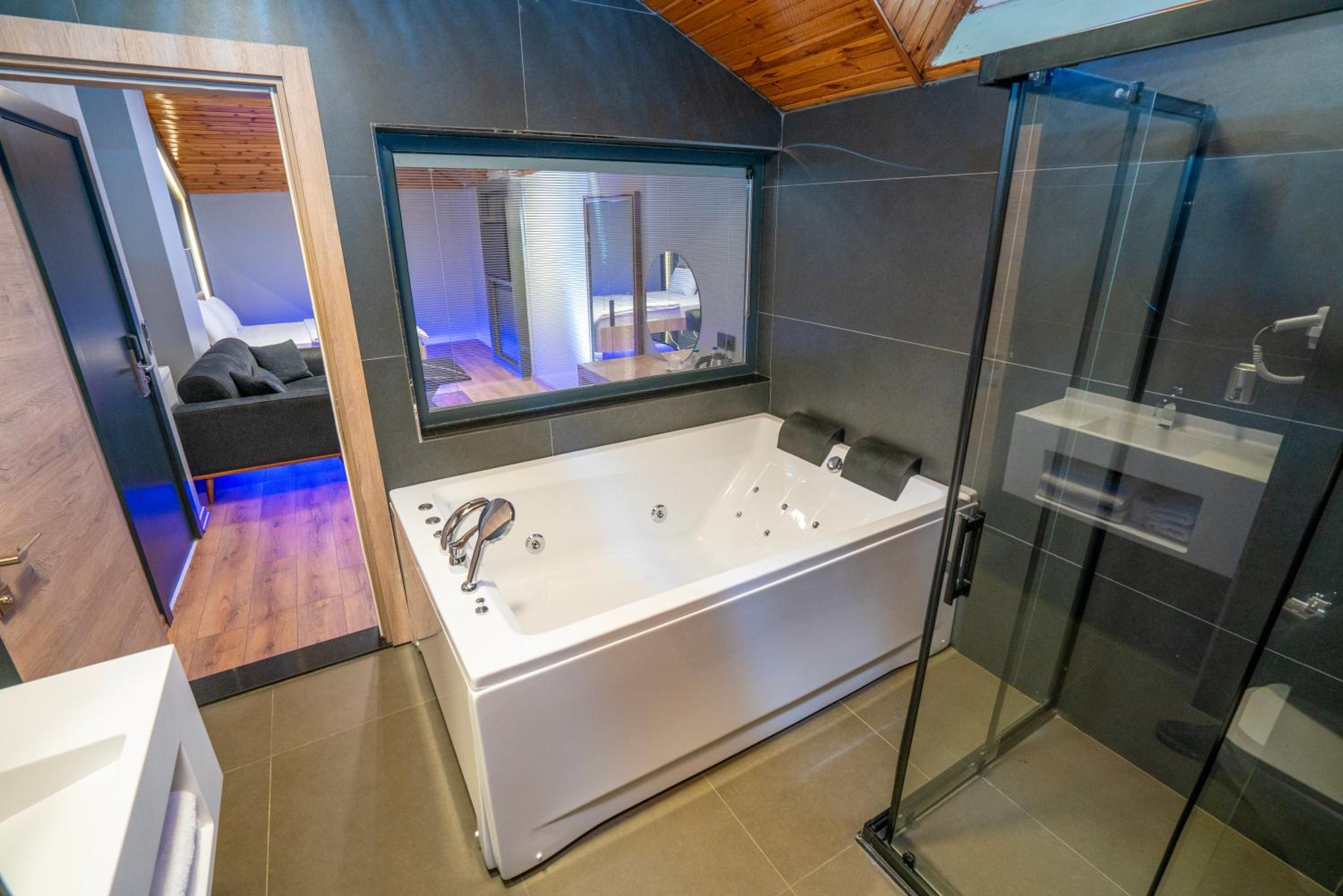 Deluxe Suite with Spa Bath photo 3