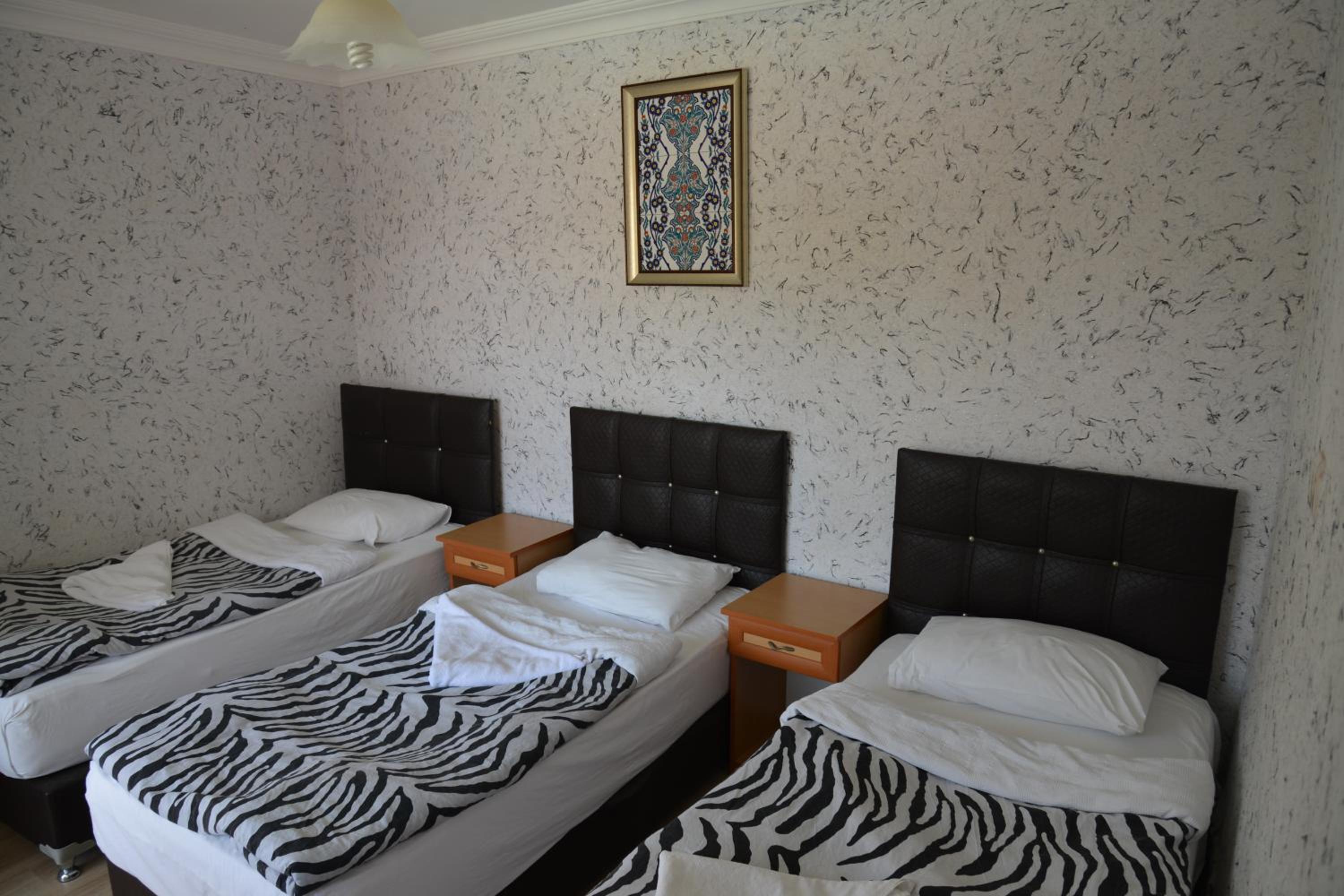 Standard Triple Room - Photo 4