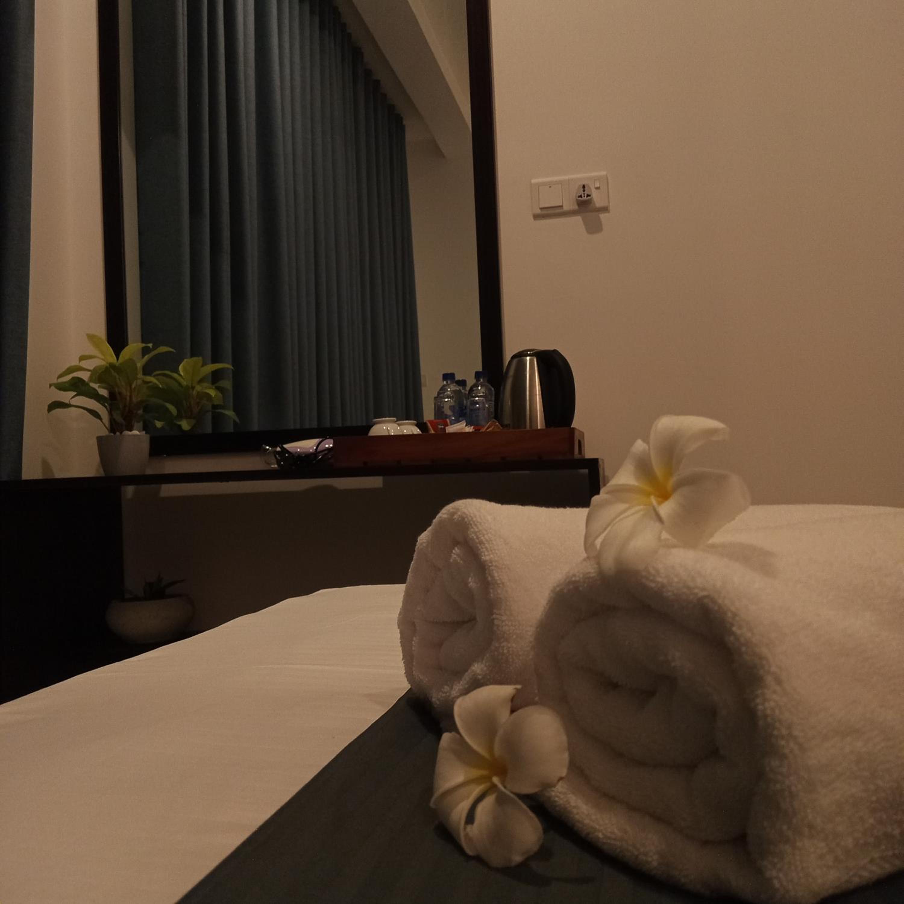 Deluxe Double Room with Balcony photo 3