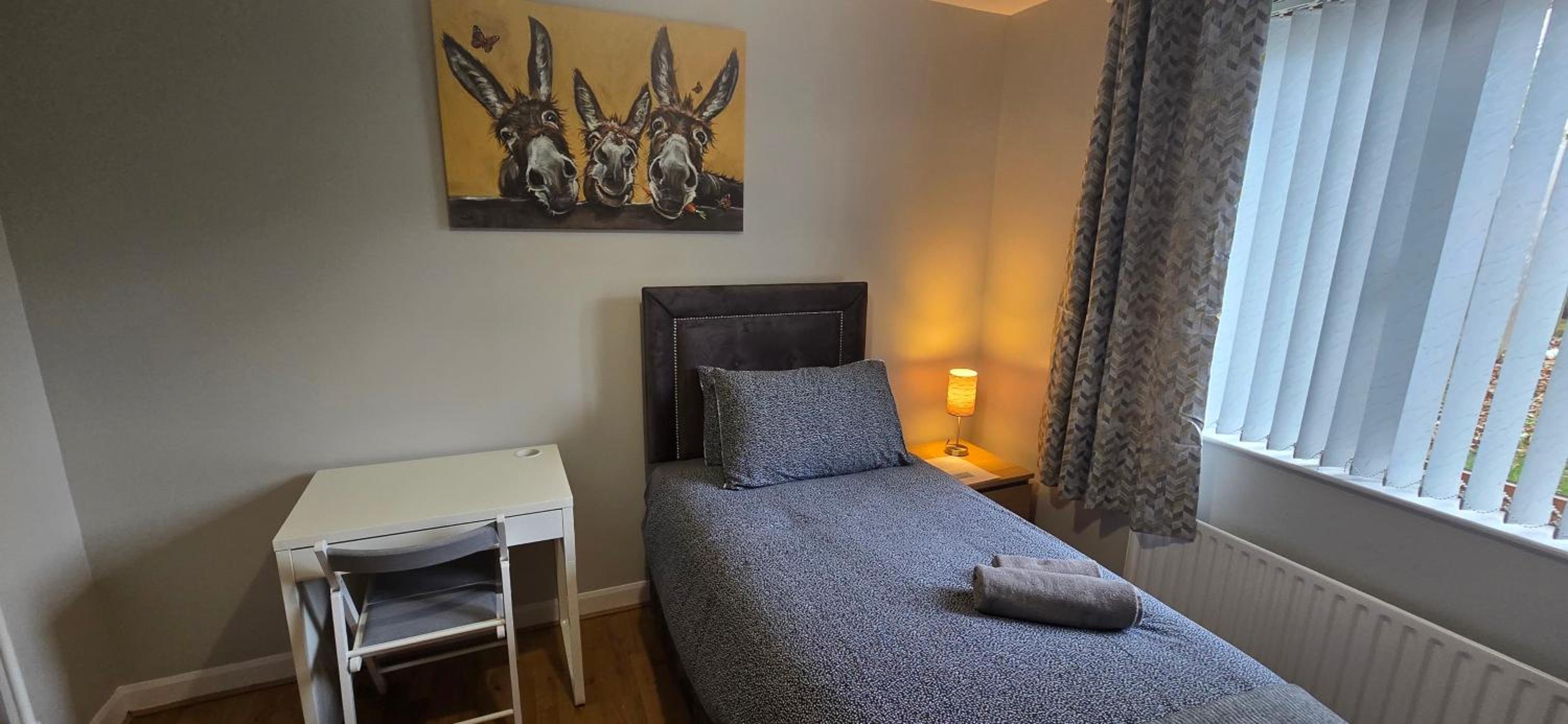 Deluxe Single Room