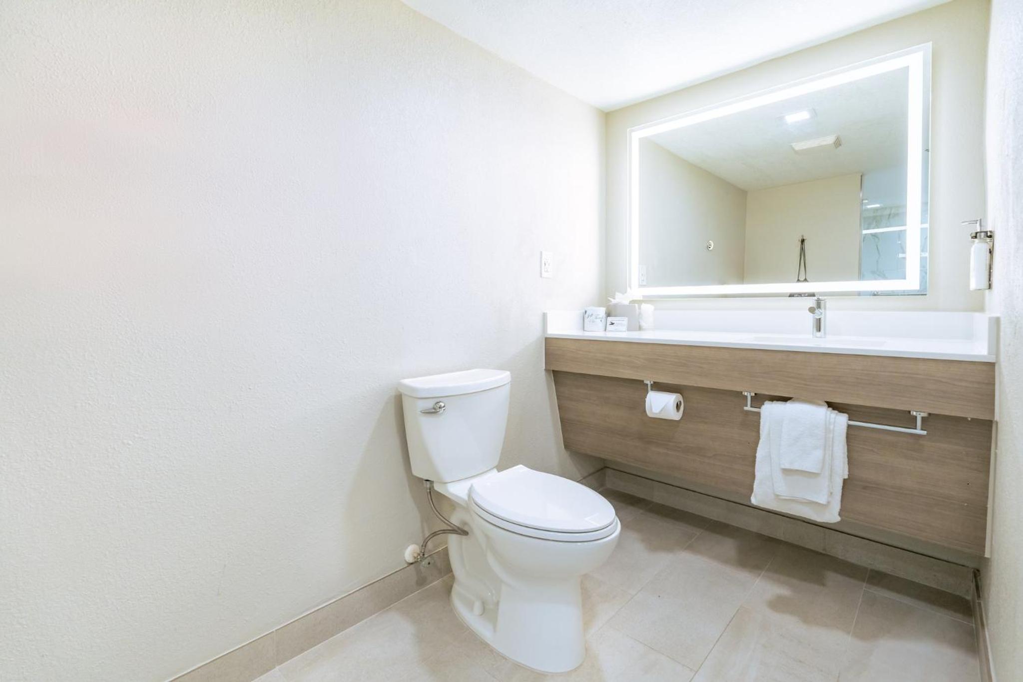 King Suite with Separate Bath/Walk-In Shower and Sofa Bed - Photo 1