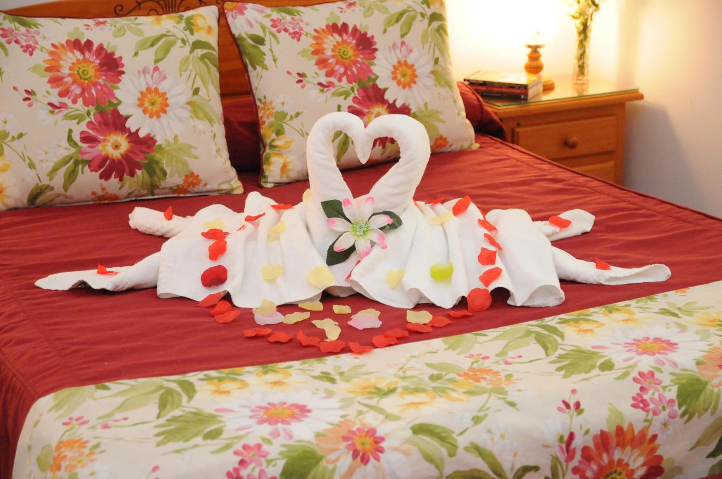 Apartamento Comfort