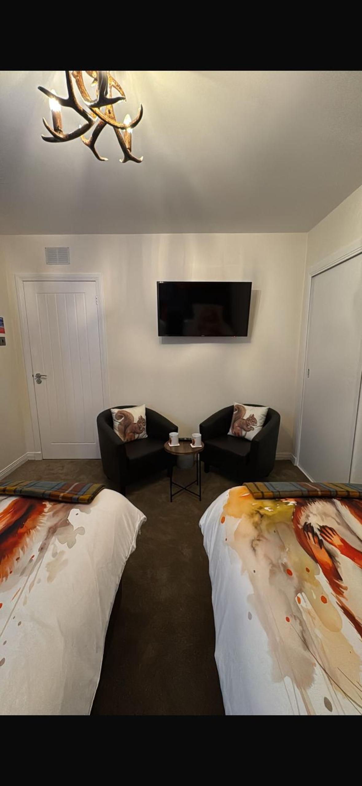 Twin Room photo 3