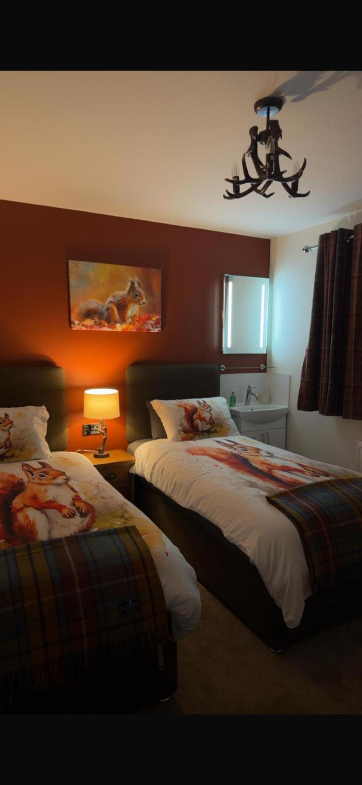 Twin Room photo 2
