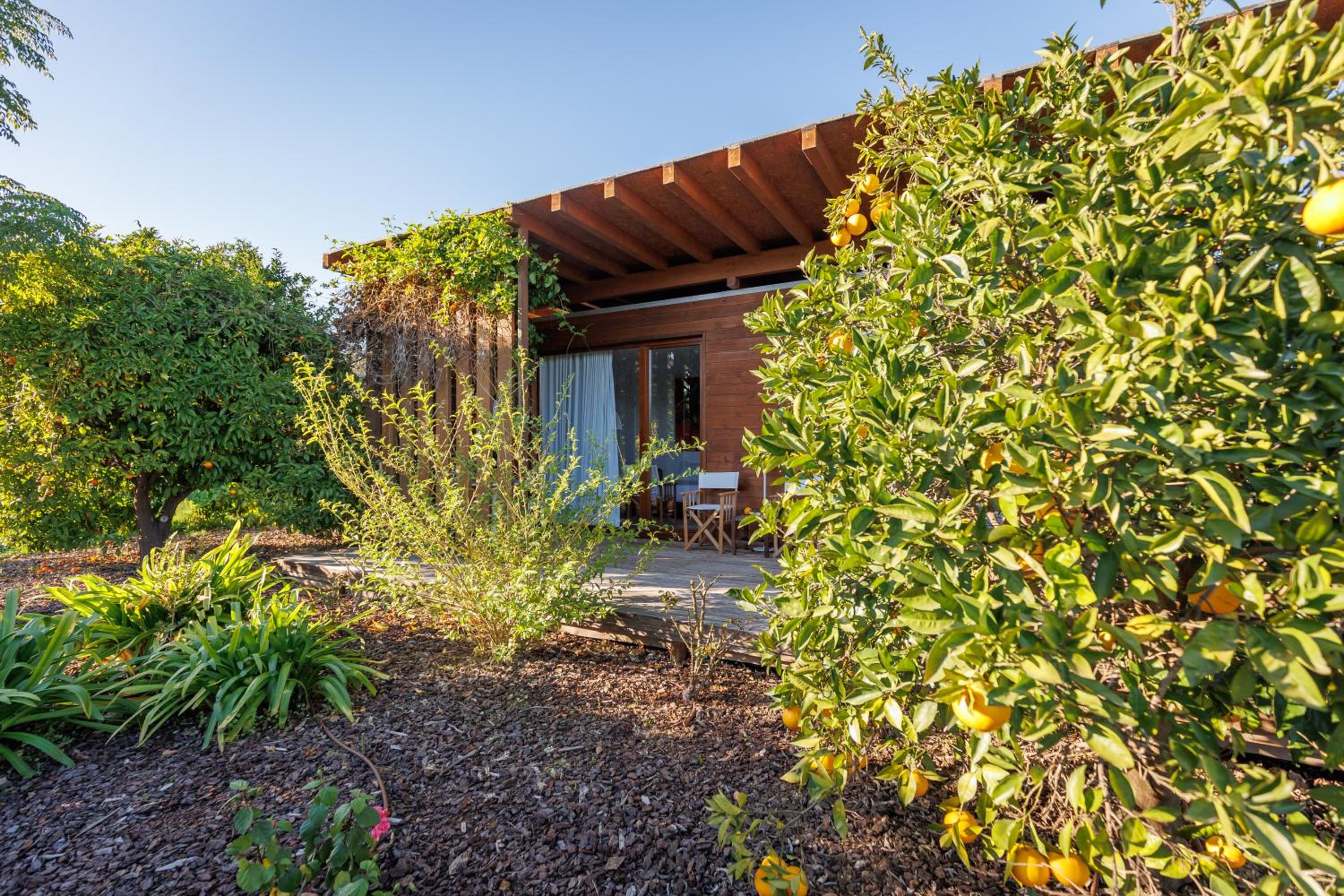 One-Bedroom Apartment with Garden photo 2