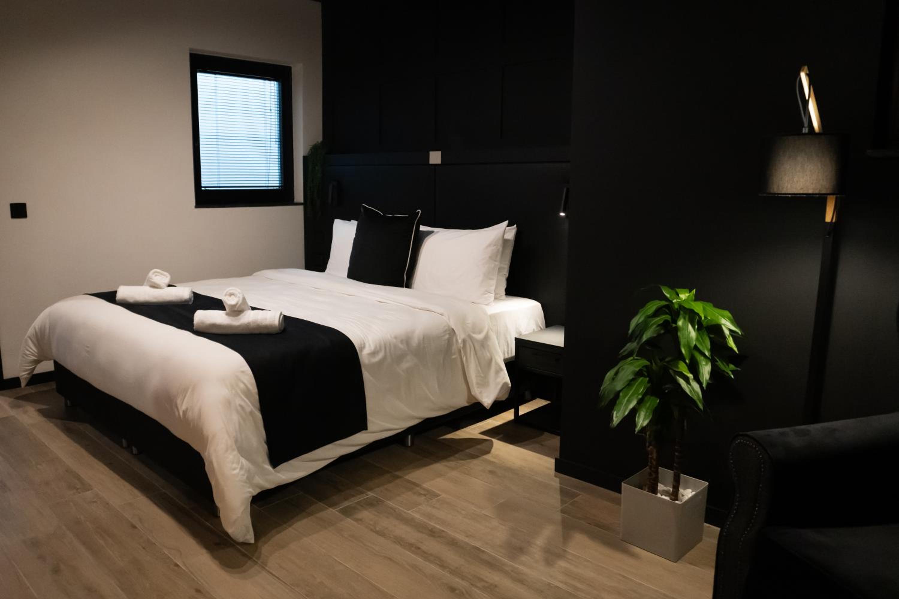 Superior Double or Twin Room photo 3