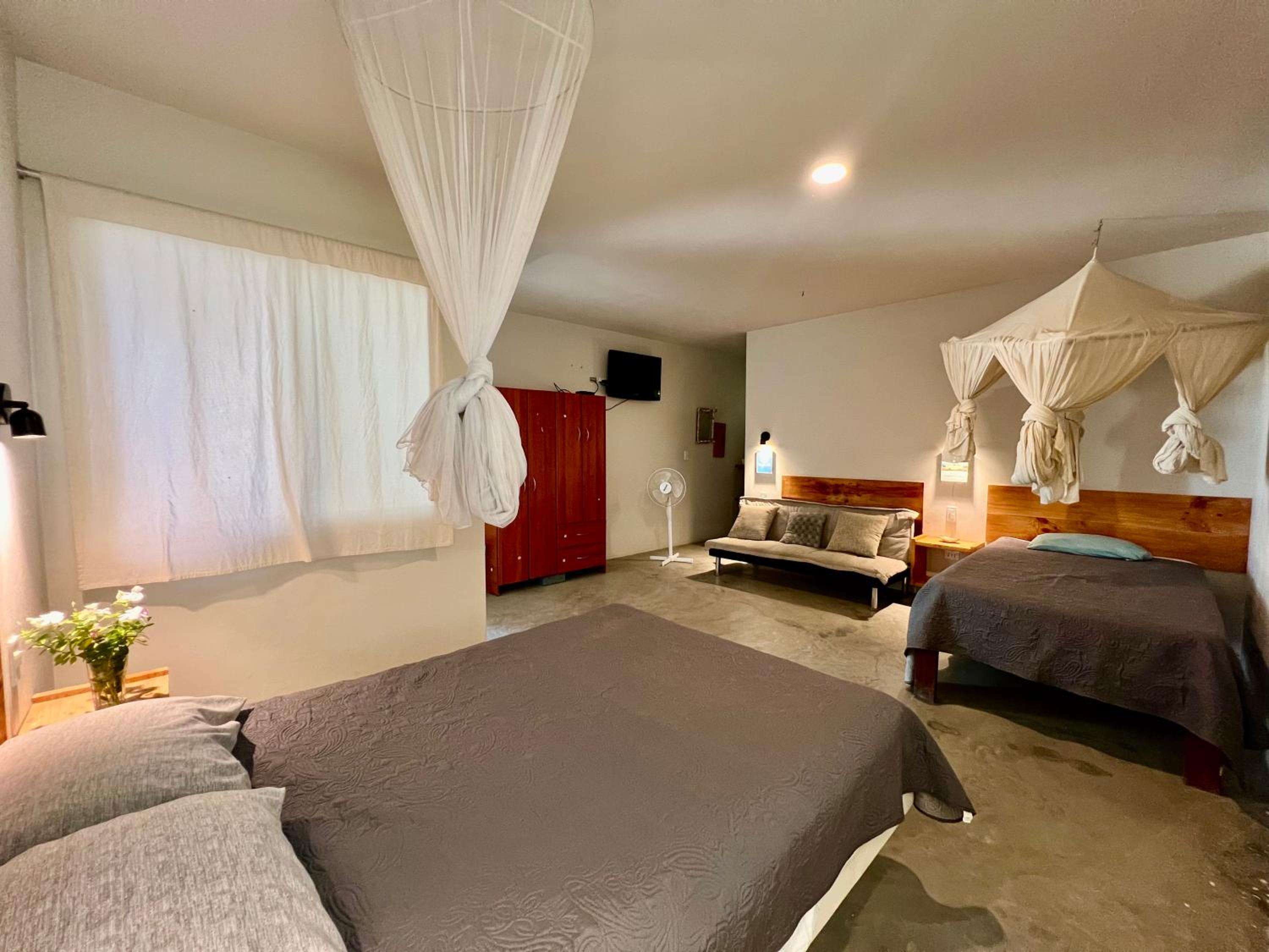 Deluxe Double or Twin Room photo 3