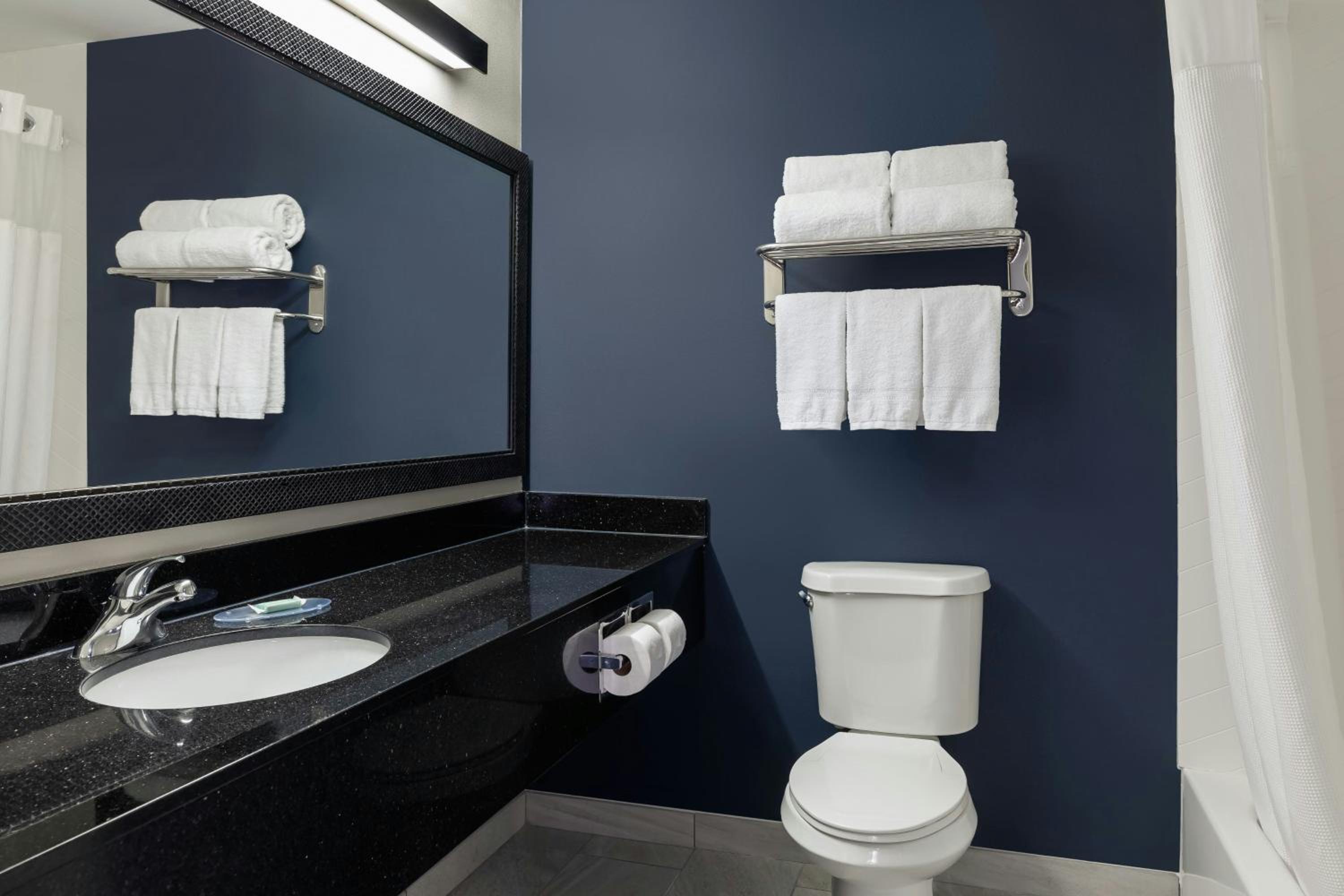 King Suite with Transfer Shower, Bathtub, Sofa Bed and Sitting Area - Mobility Access/Hearing Accessible - Photo 1