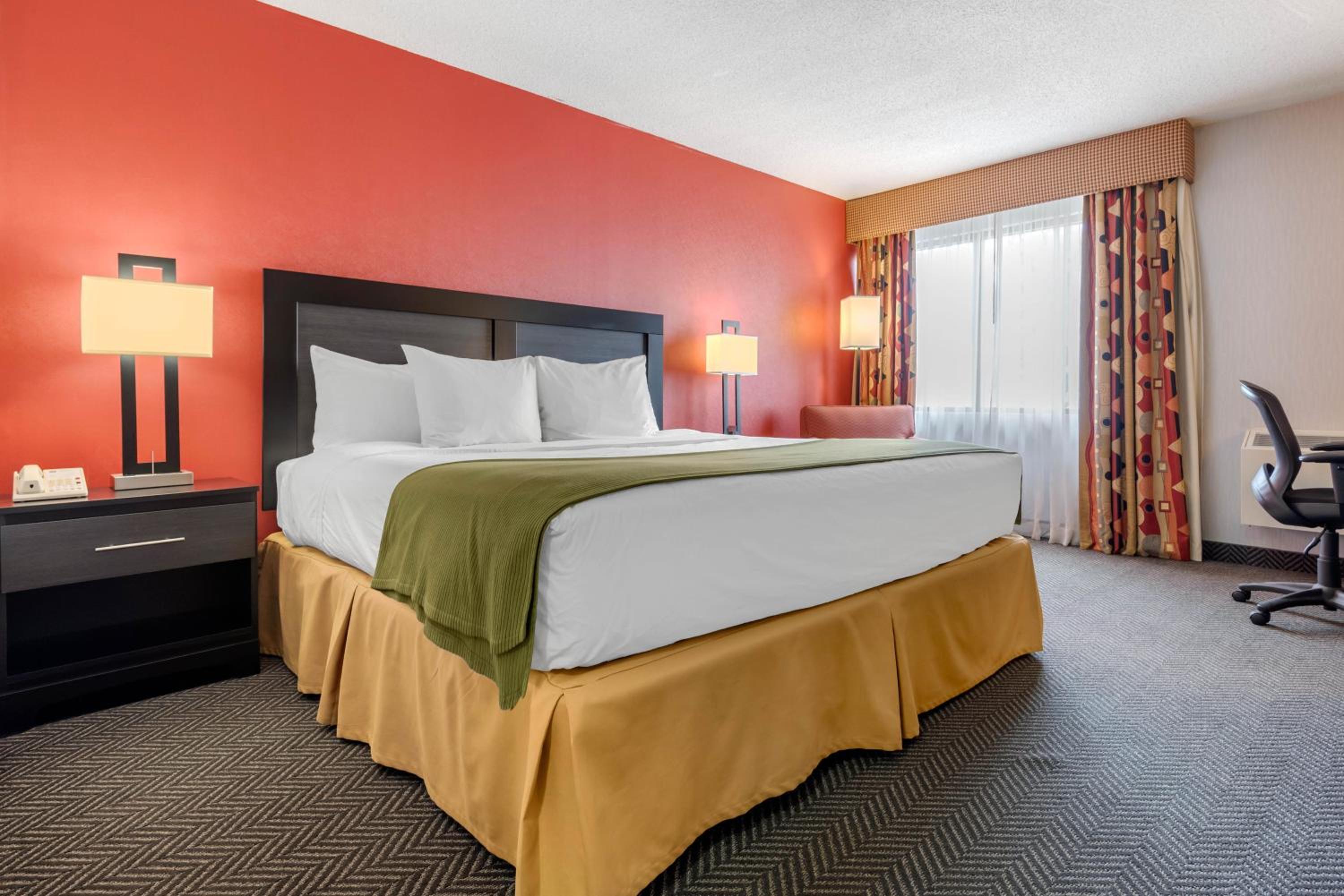 King Room - Photo 1