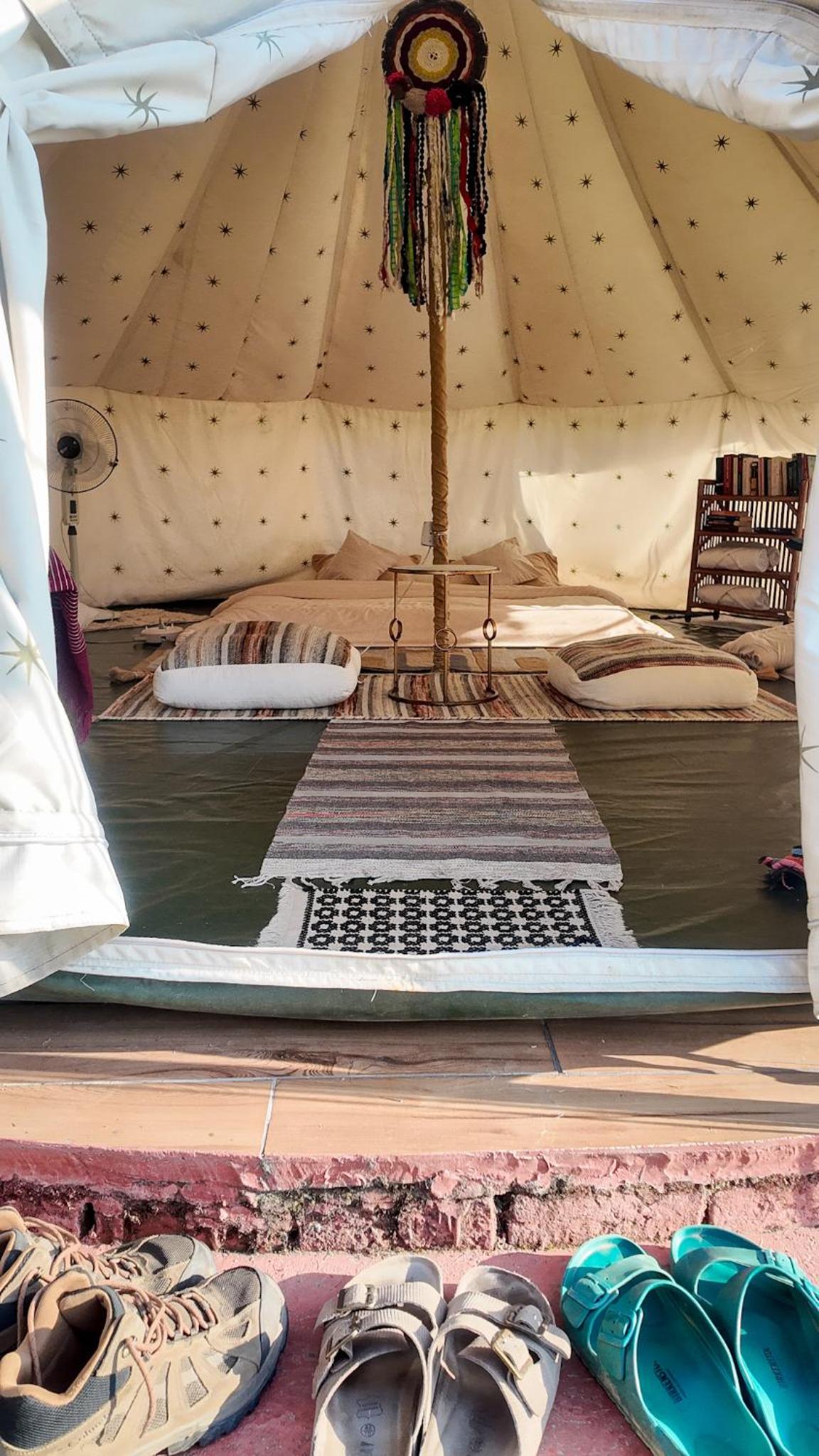 Standard Glamp  photo 2