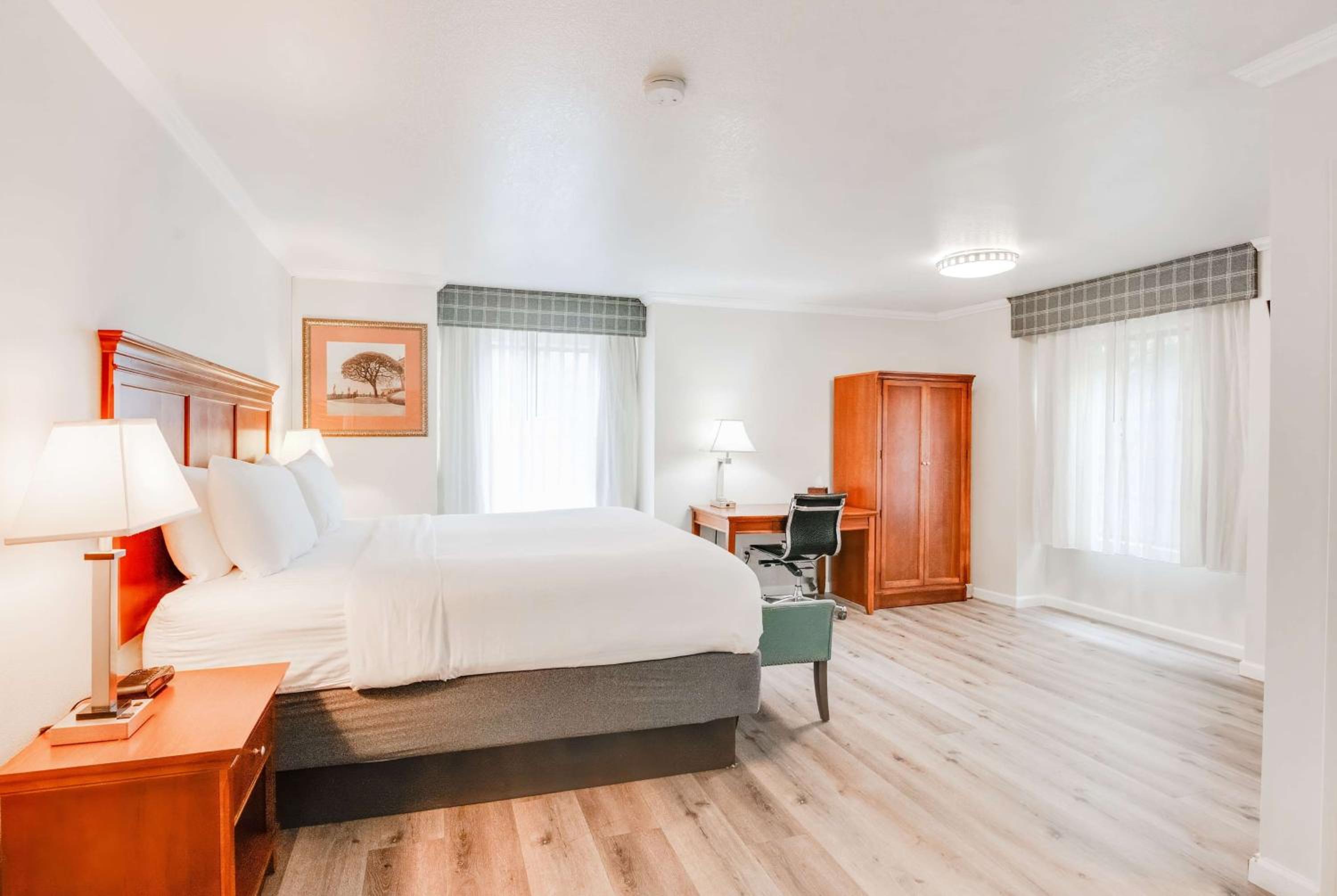 King Room with Jetted Tub - Non-Smoking - Photo 3