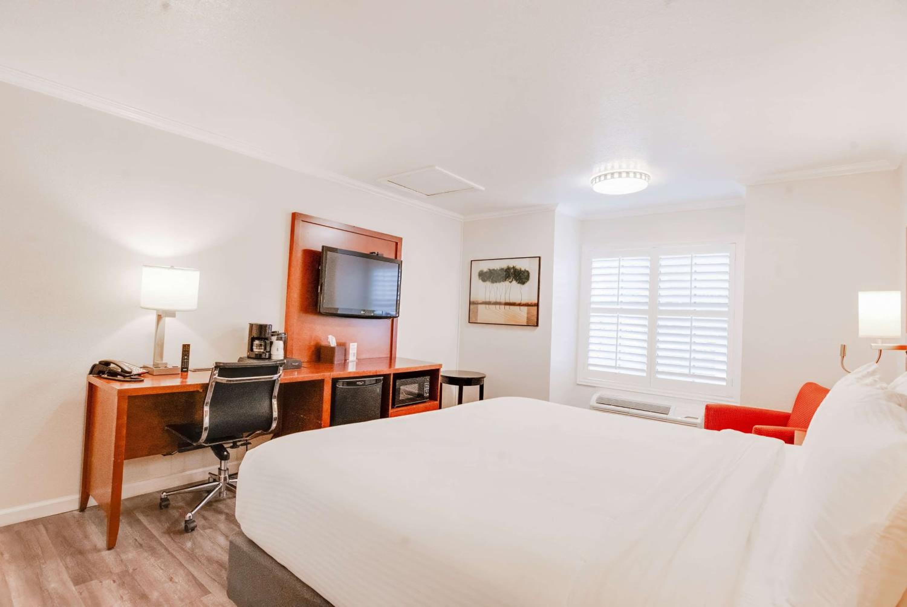 King Room with Roll-in Shower - Mobility and Hearing Access/Non-Smoking - Photo 1