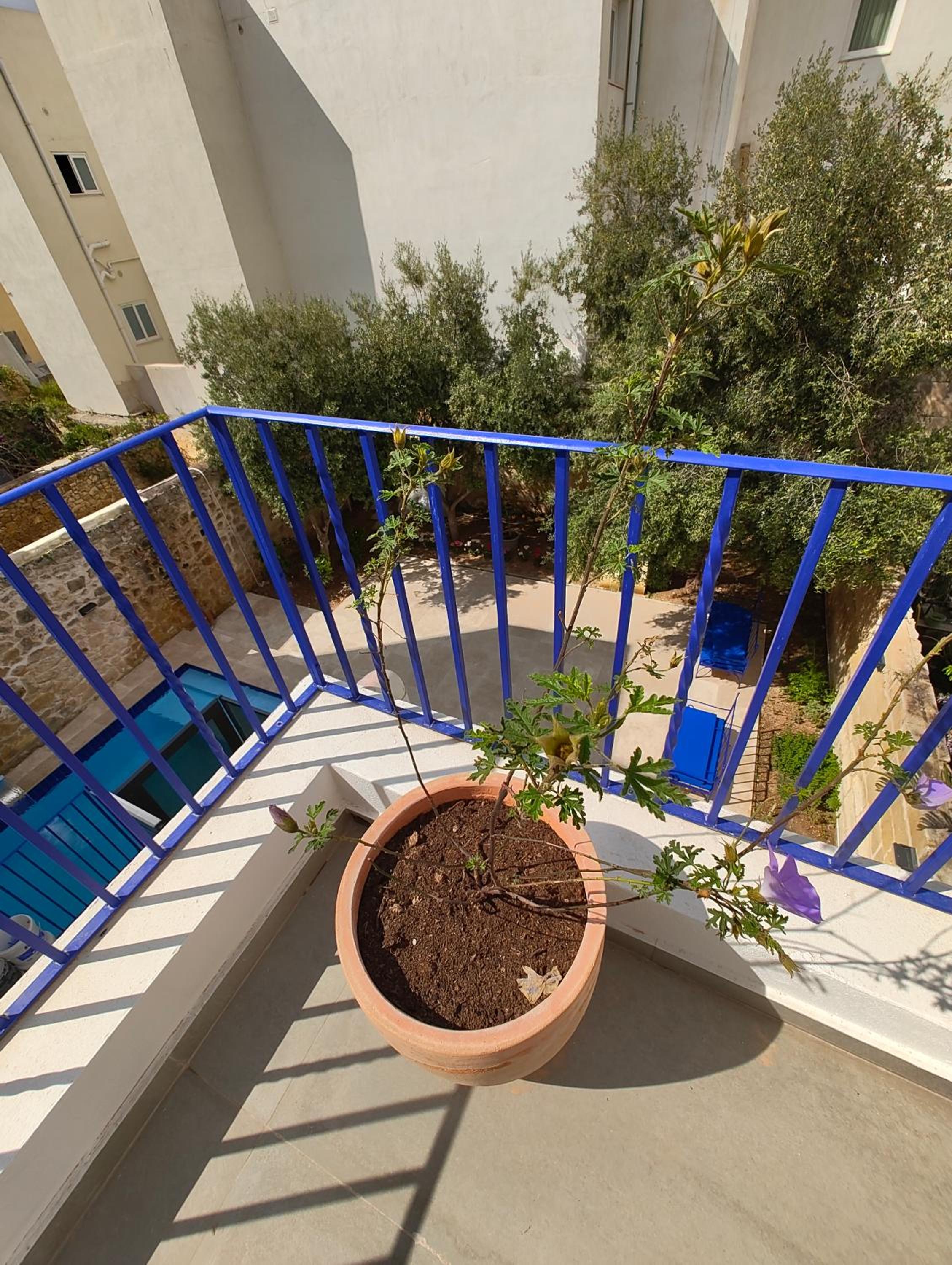 Double Room with Terrace