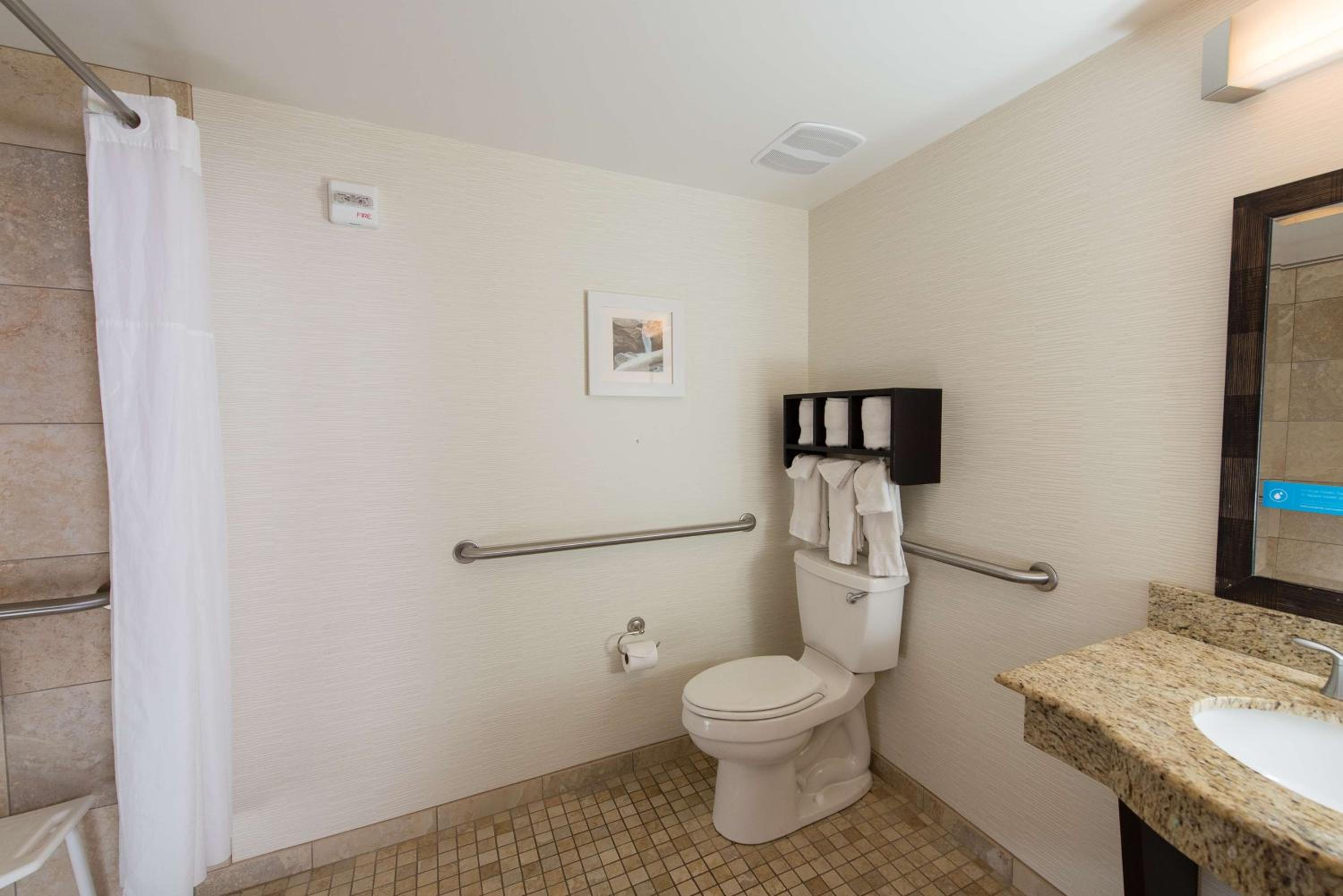 King Suite with Roll-In Shower - Mobility and Hearing Access/Non-Smoking - Photo 3