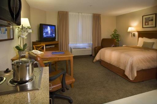 Studio Suite - Photo 9