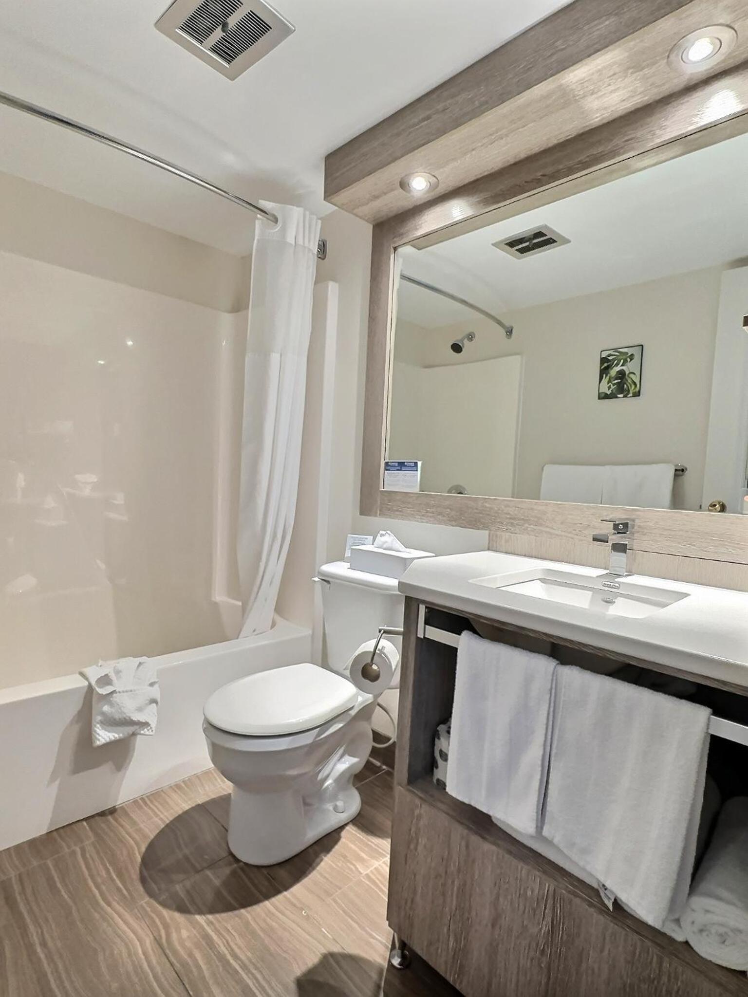 Queen Room - Non-Smoking/ Pet-Friendly  photo 2