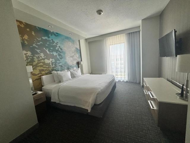 King Room with Sofa Bed and Roll-in Shower - Mobility Accessible photo 1