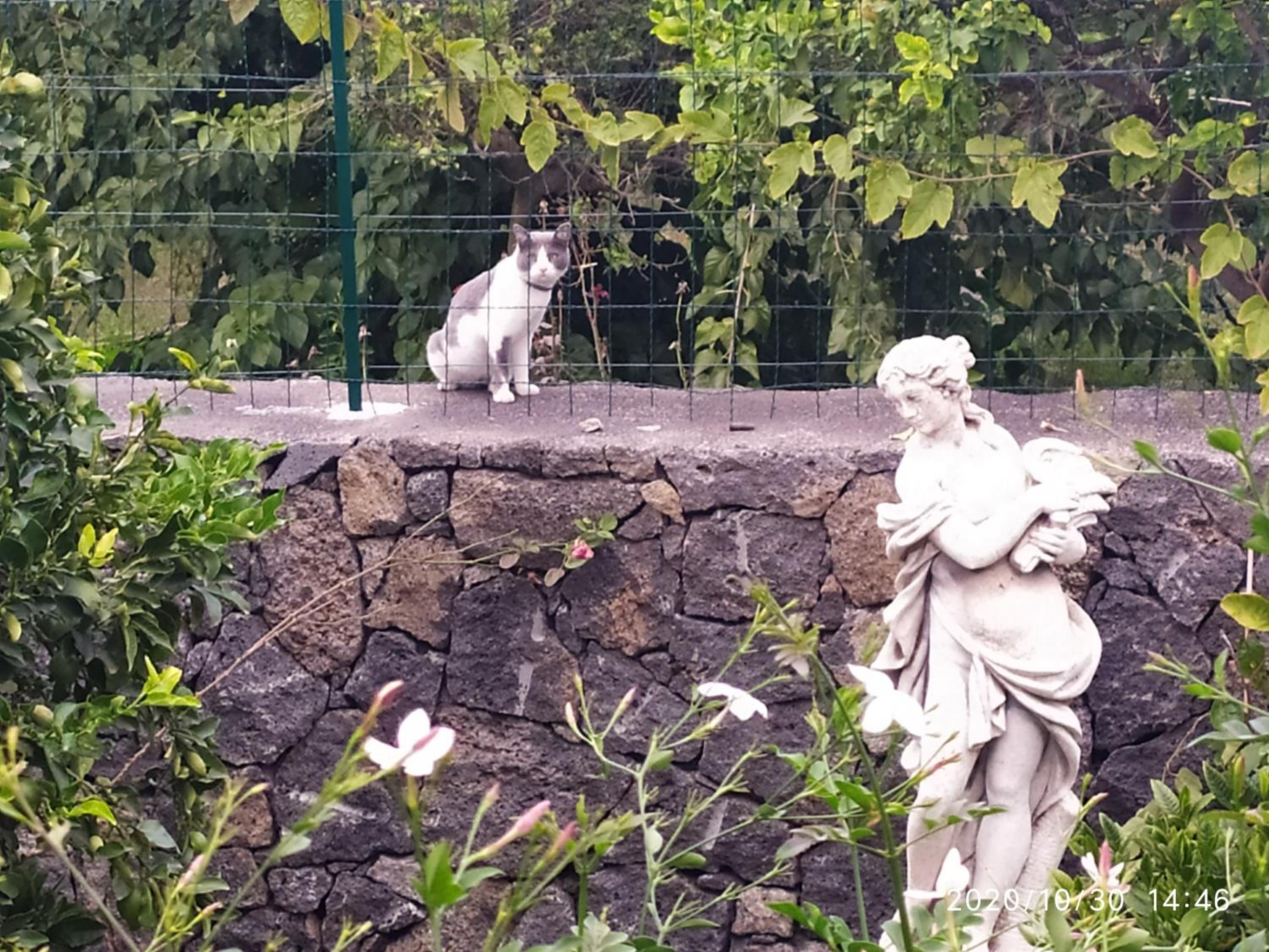 Il Giardino di Galatea, Billede 8