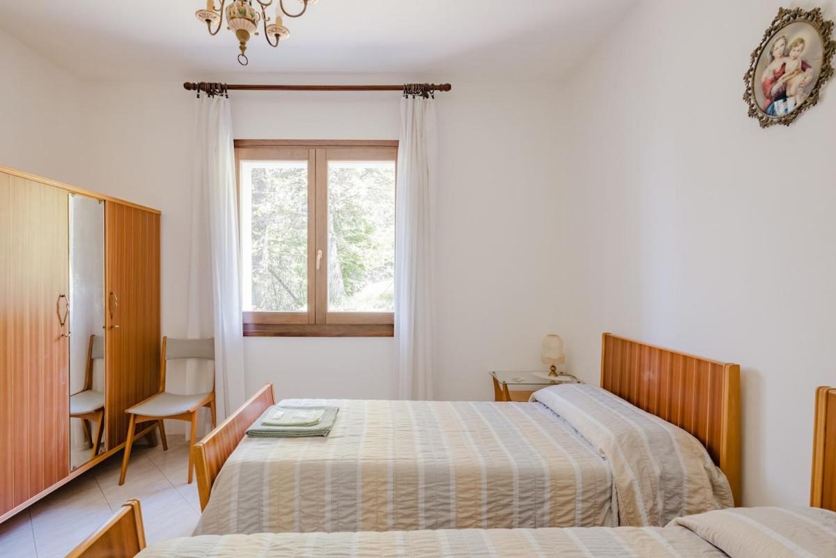 Double or Twin Room photo 2