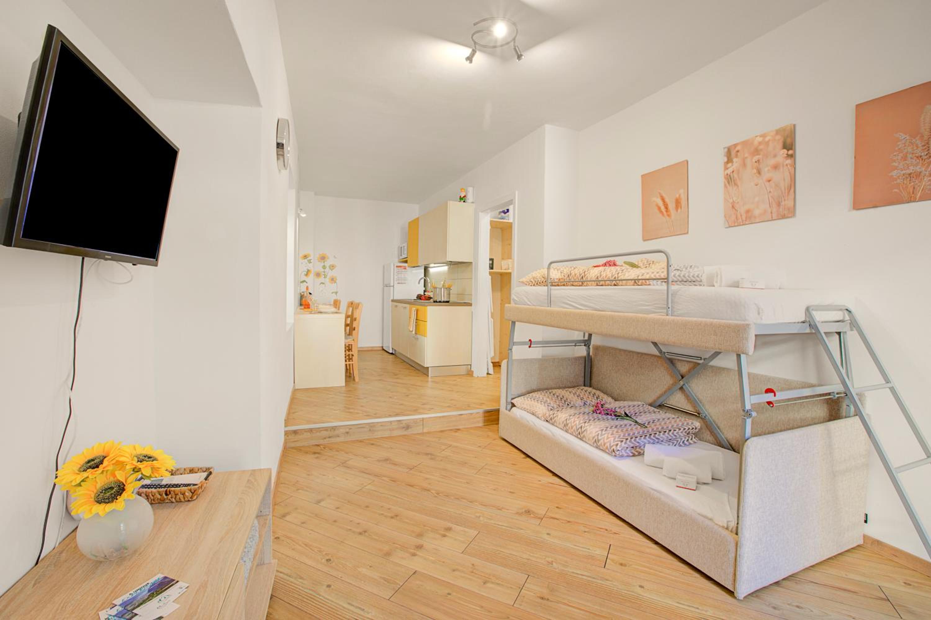 One Bedroom Apartment with Terrace 3 photo 3