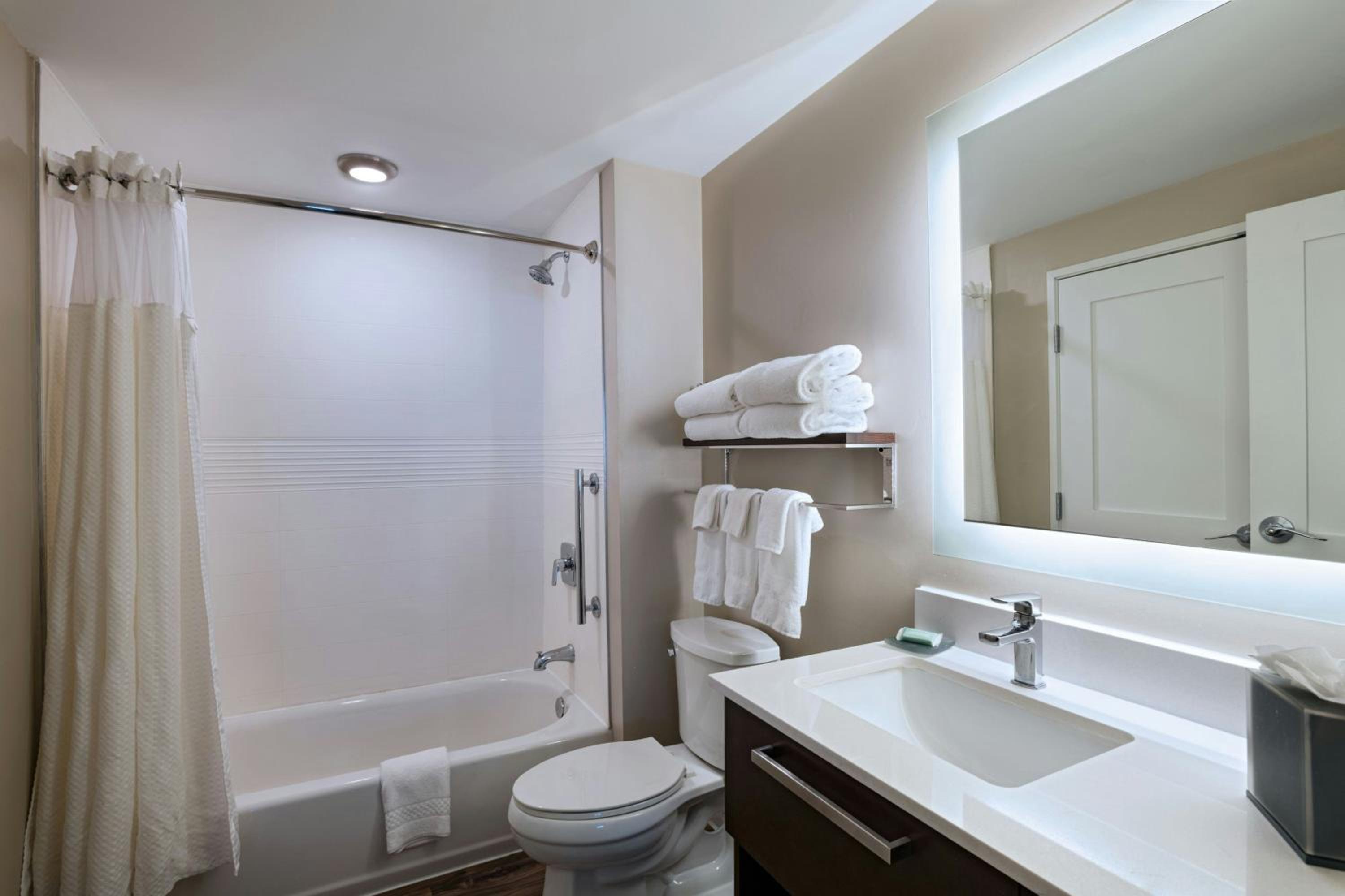 One-Bedroom Queen Suite with Sofa Bed - Photo 4