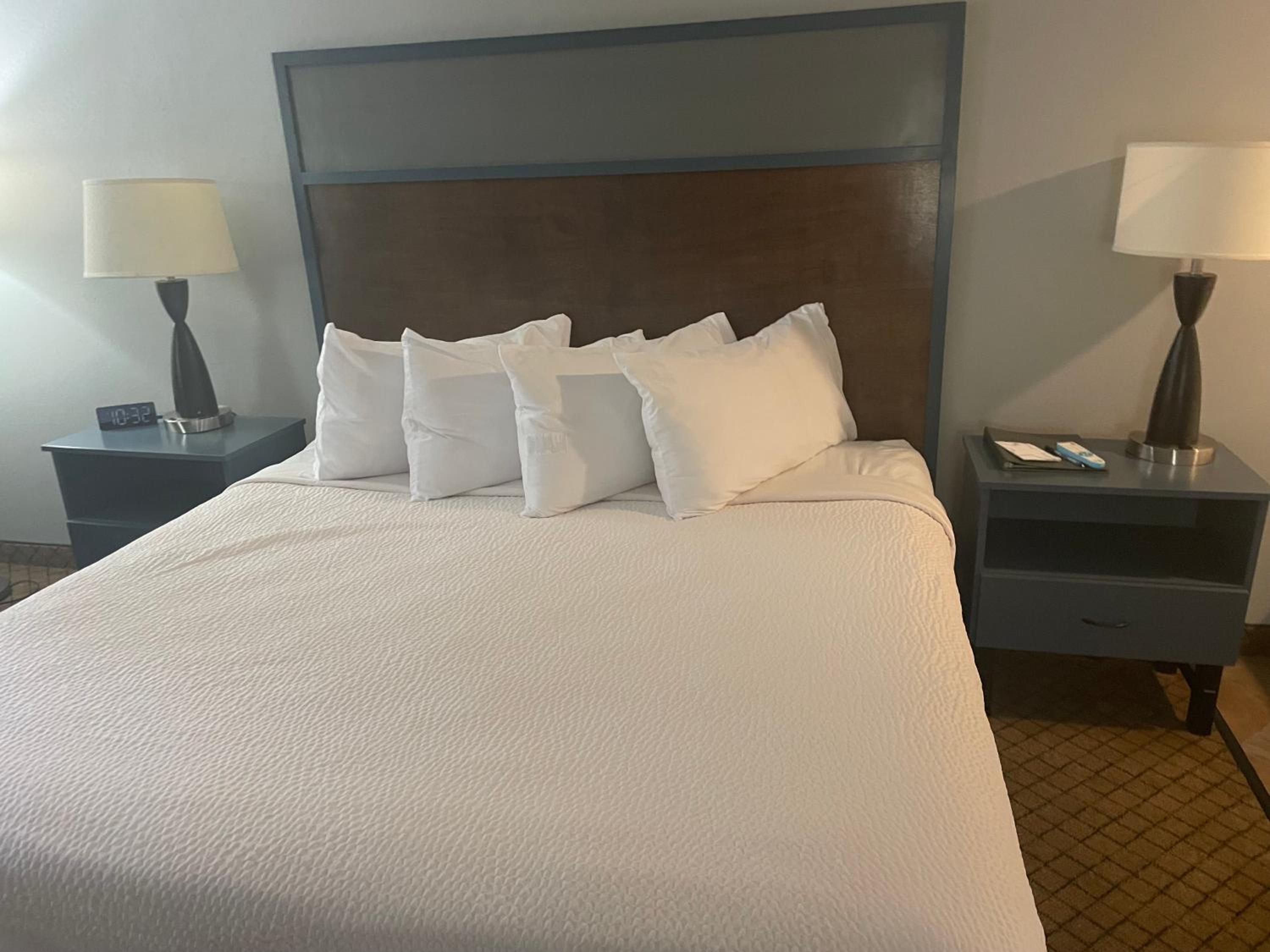 1 King Bed, Premier Junior Suite, Non-Smoking - Photo 2