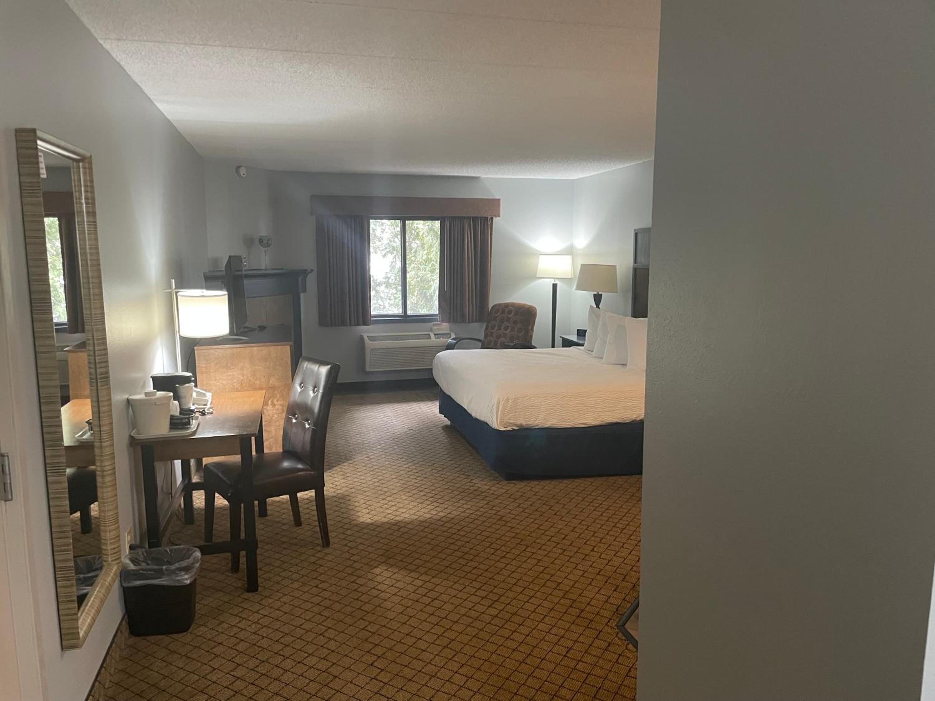 1 King Bed, Premier Junior Suite, Non-Smoking - Photo 3