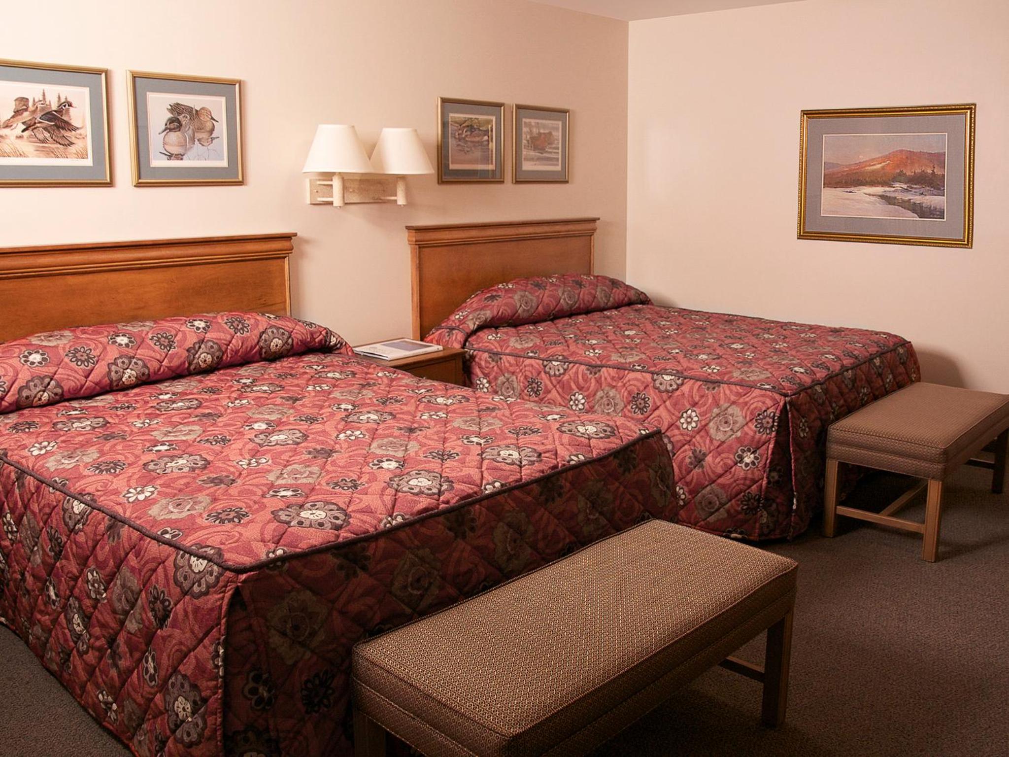 Deluxe Double Room photo 1