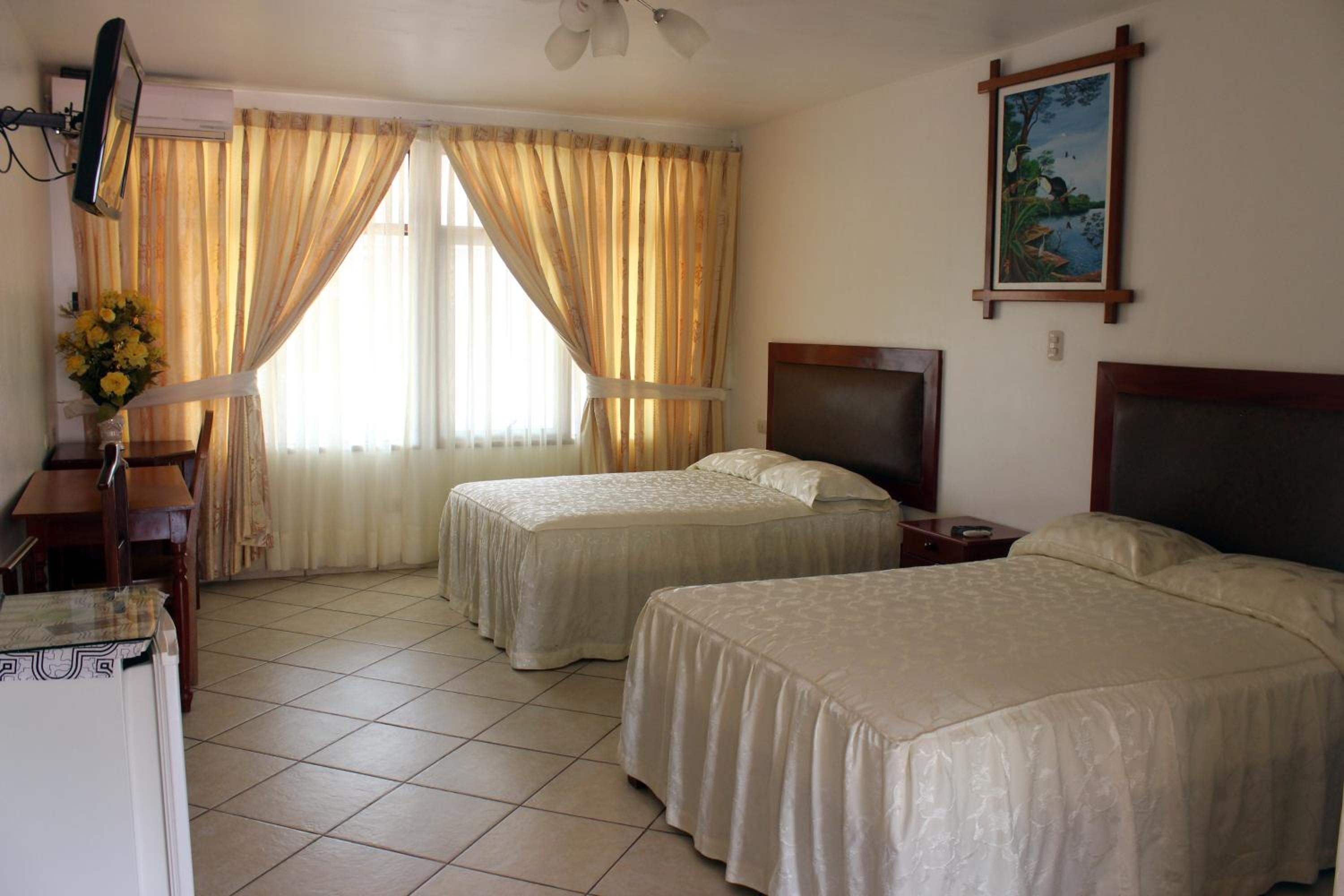 Twin Room photo 3