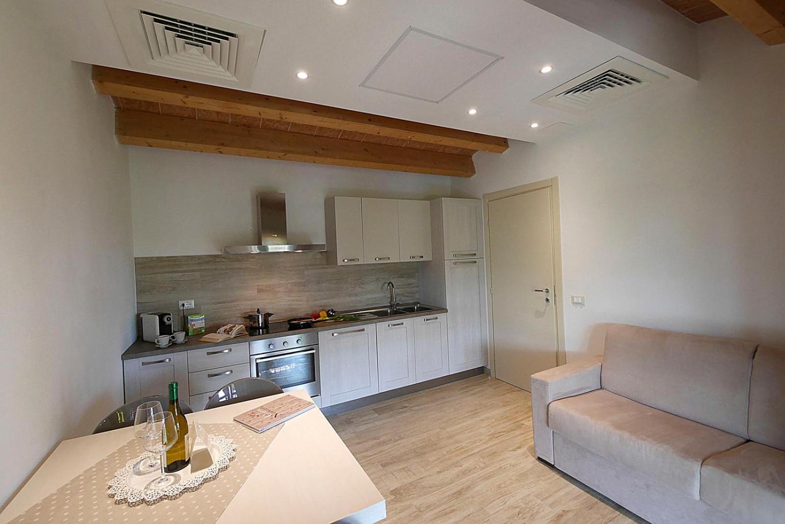 Deluxe One-Bedroom Apartment