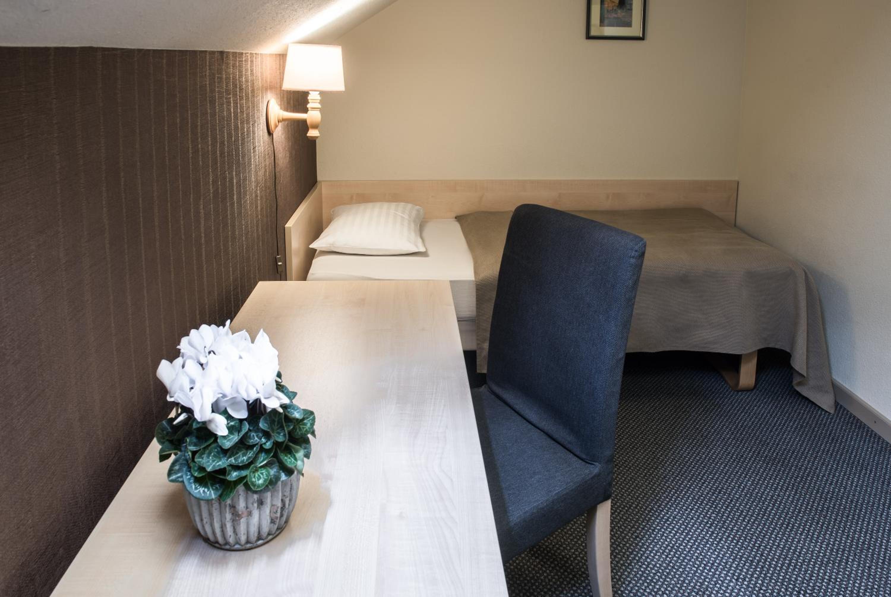 Single Room photo 1