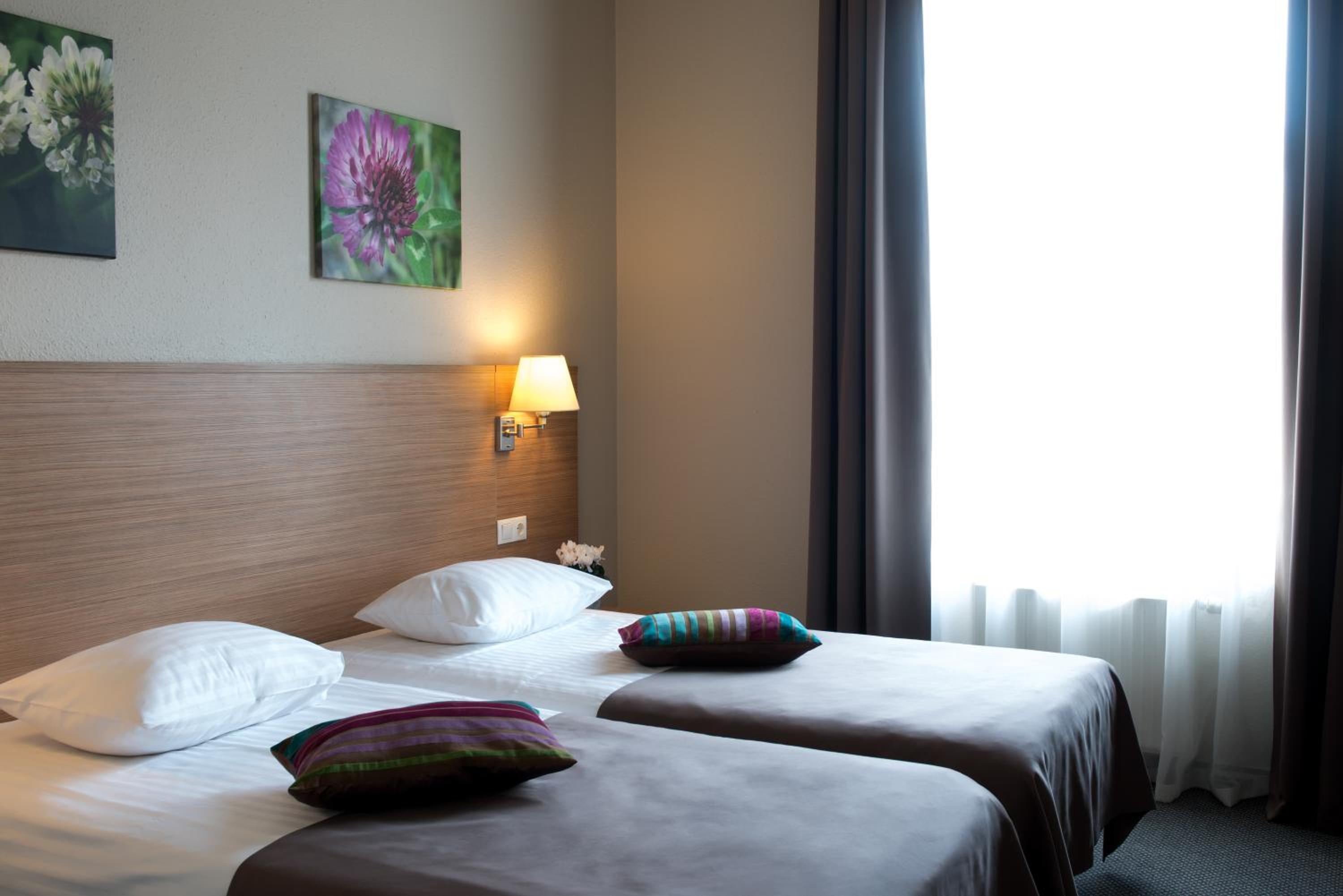 Business Double or Twin Room - Photo 5
