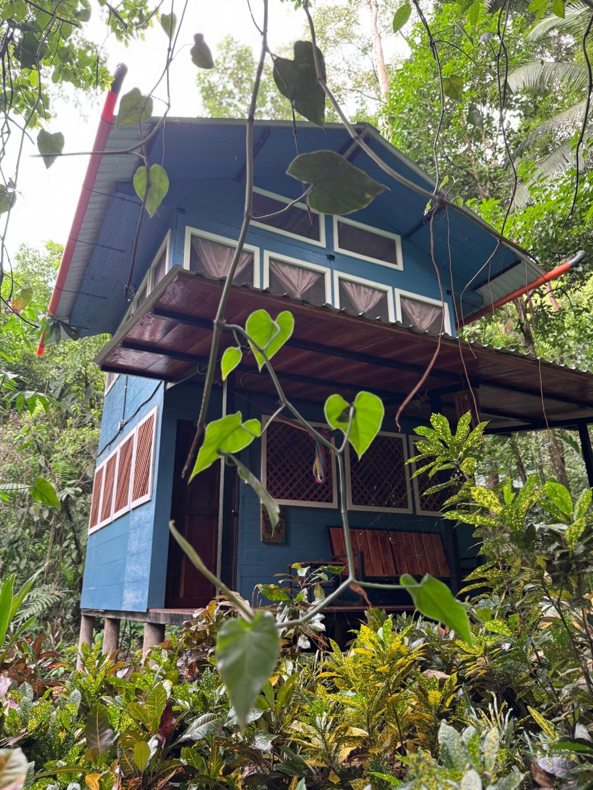 Cottage with Garden View photo 1