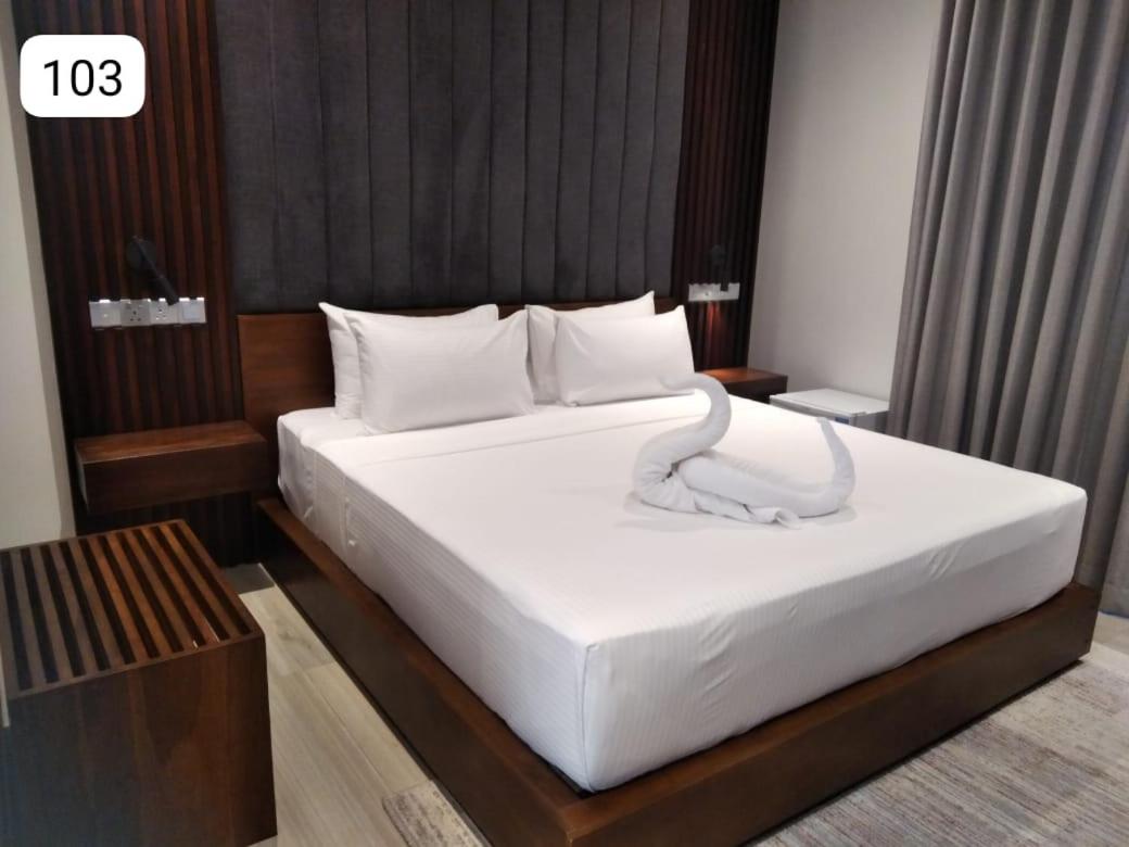 Deluxe Double Room photo 2