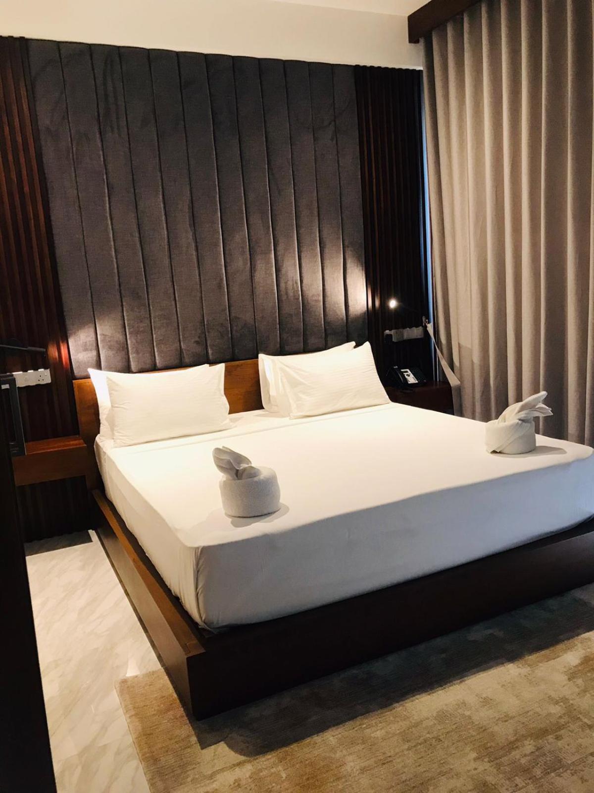 Deluxe Double Room photo 3