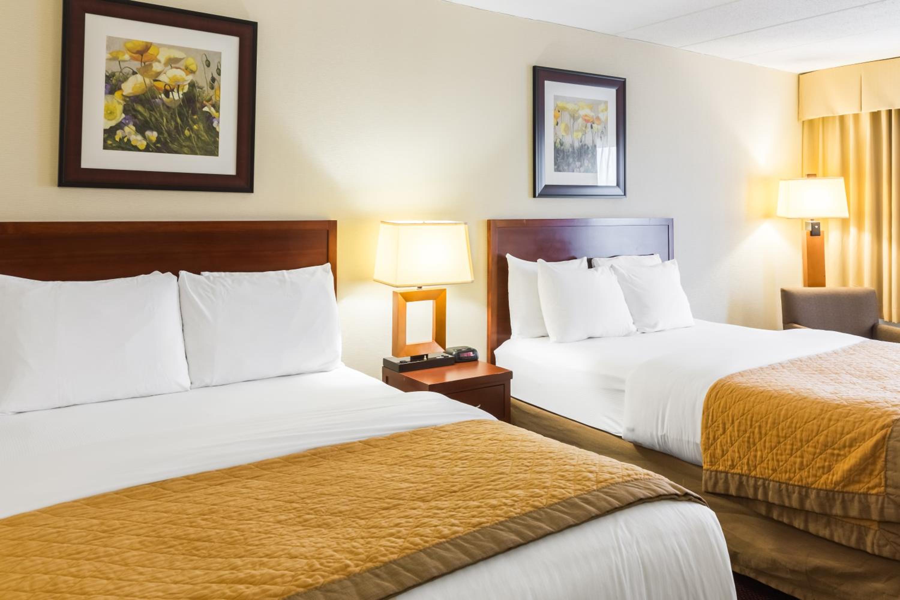 Queen Room with Two Queen Beds - Disability Access/Non-Smoking - Photo 3