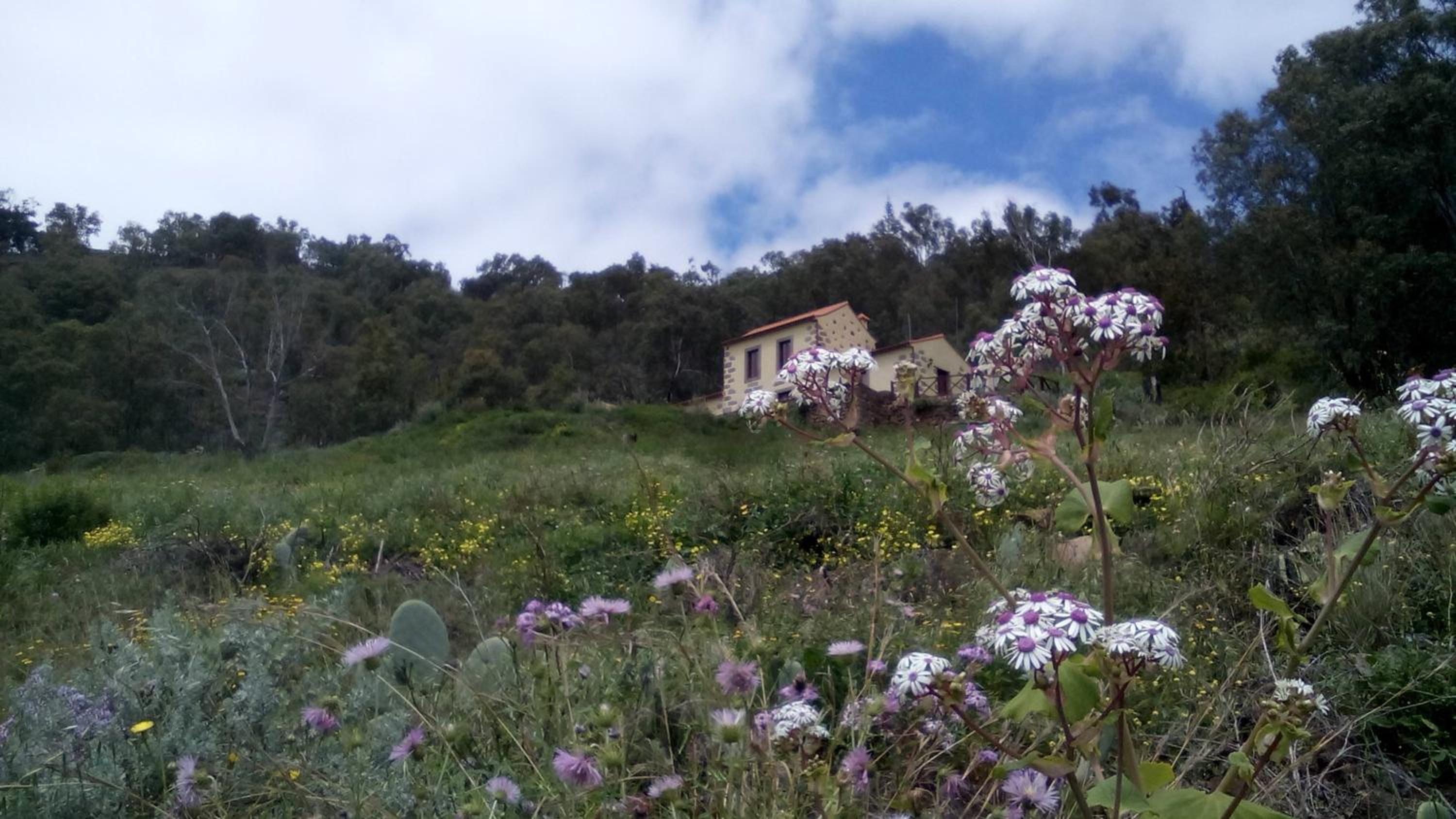 Vacation Home - Photo 3