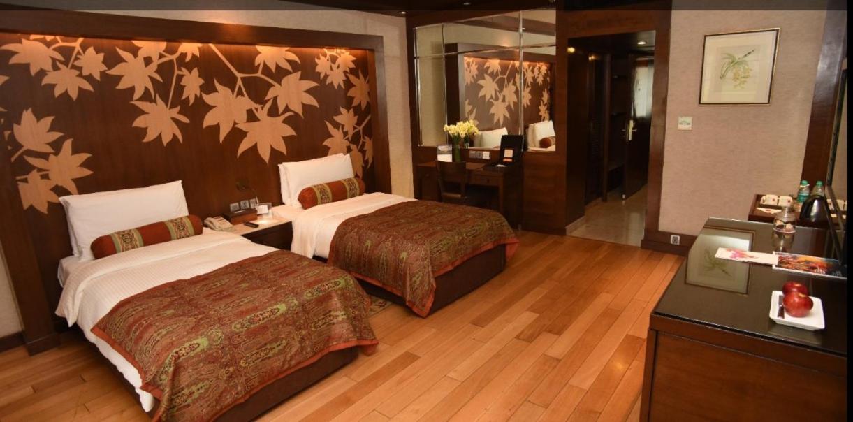 Twin Room photo