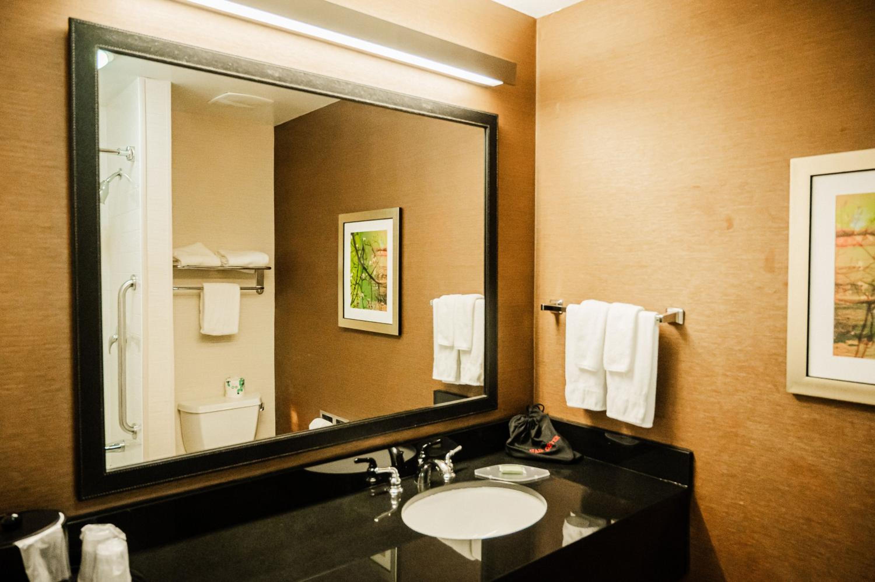 King Suite - Photo 1