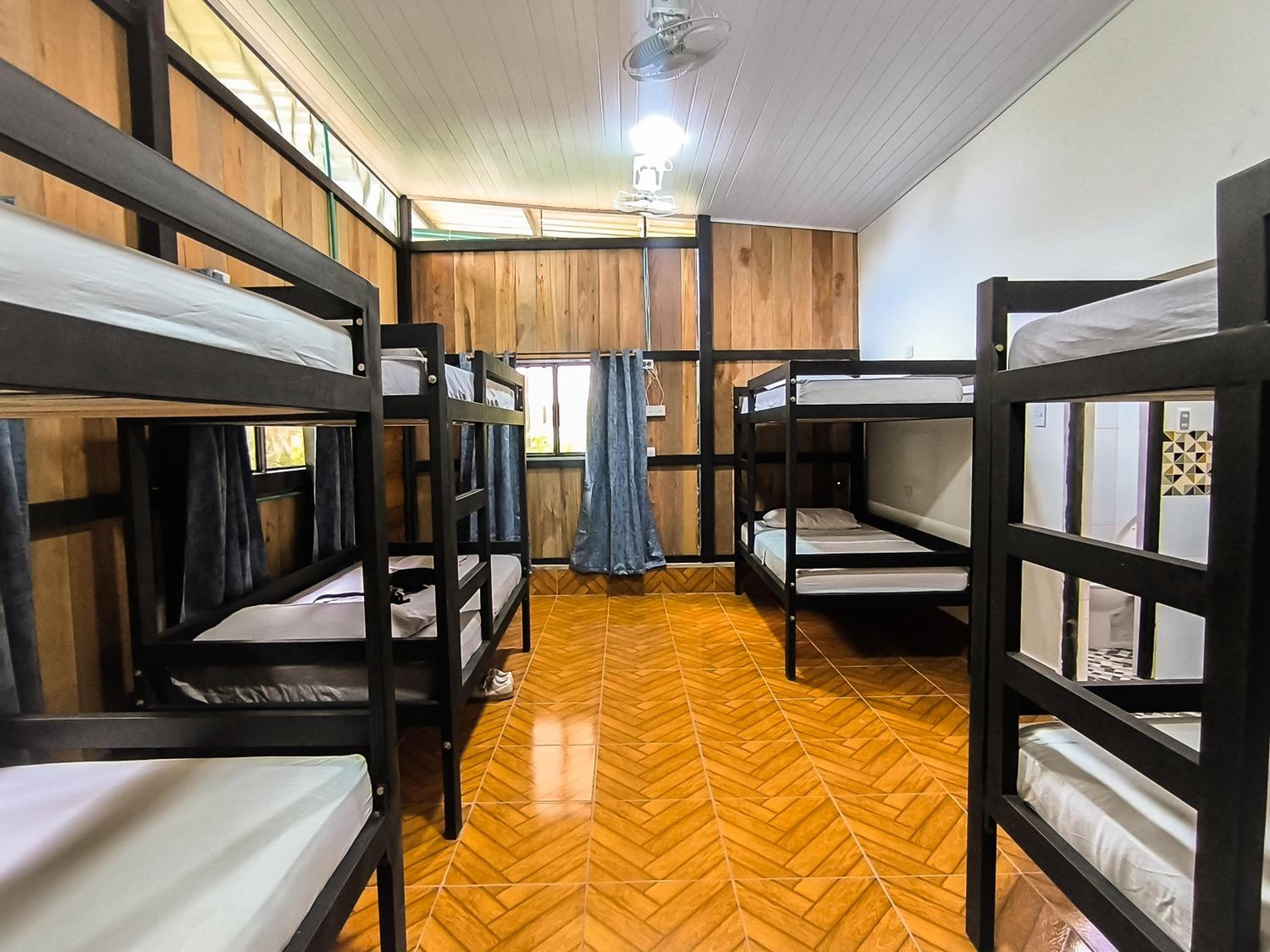 Bed in 8-Bed Mixed Dormitory Room photo 3