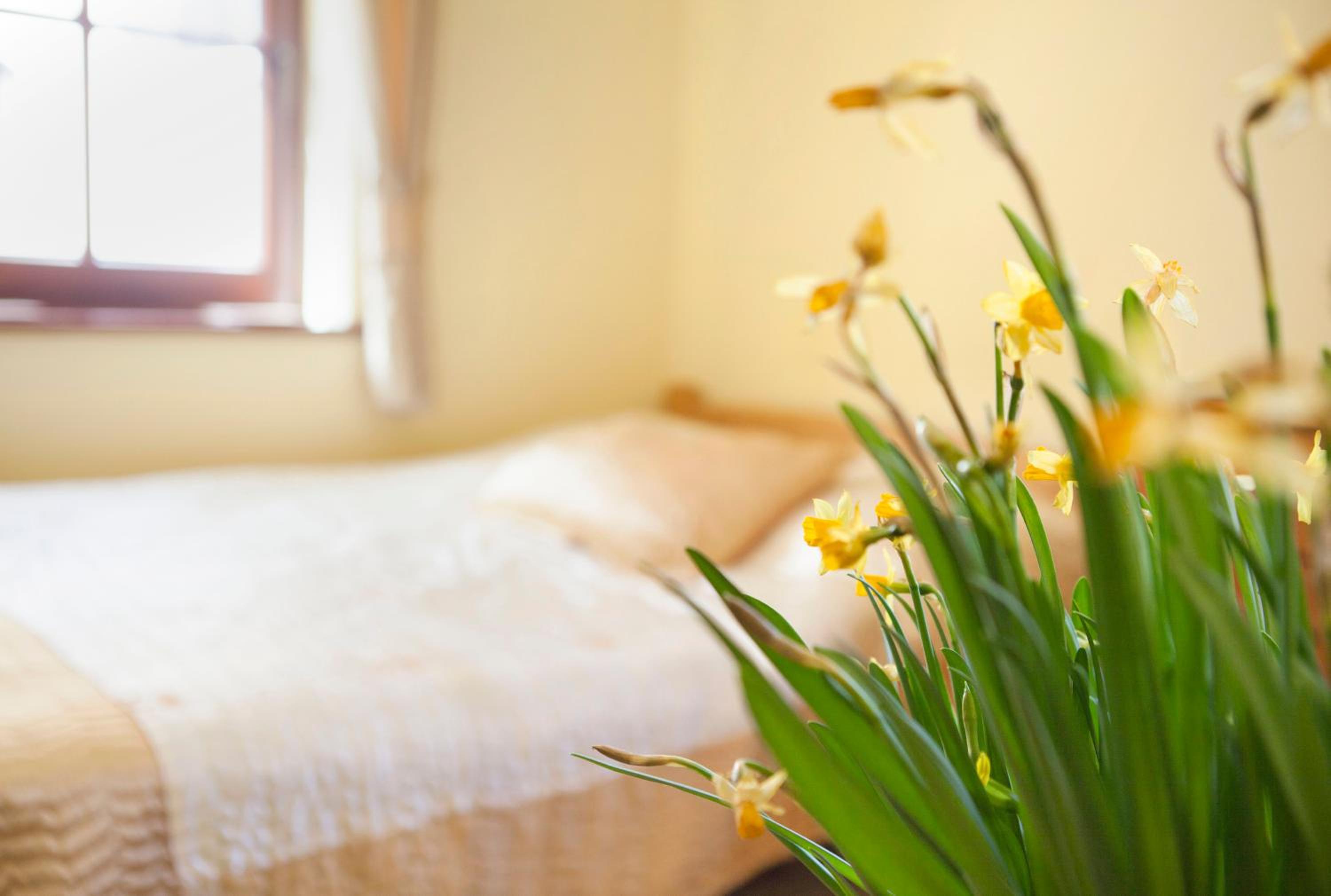 Double Room with Mountain View photo 1