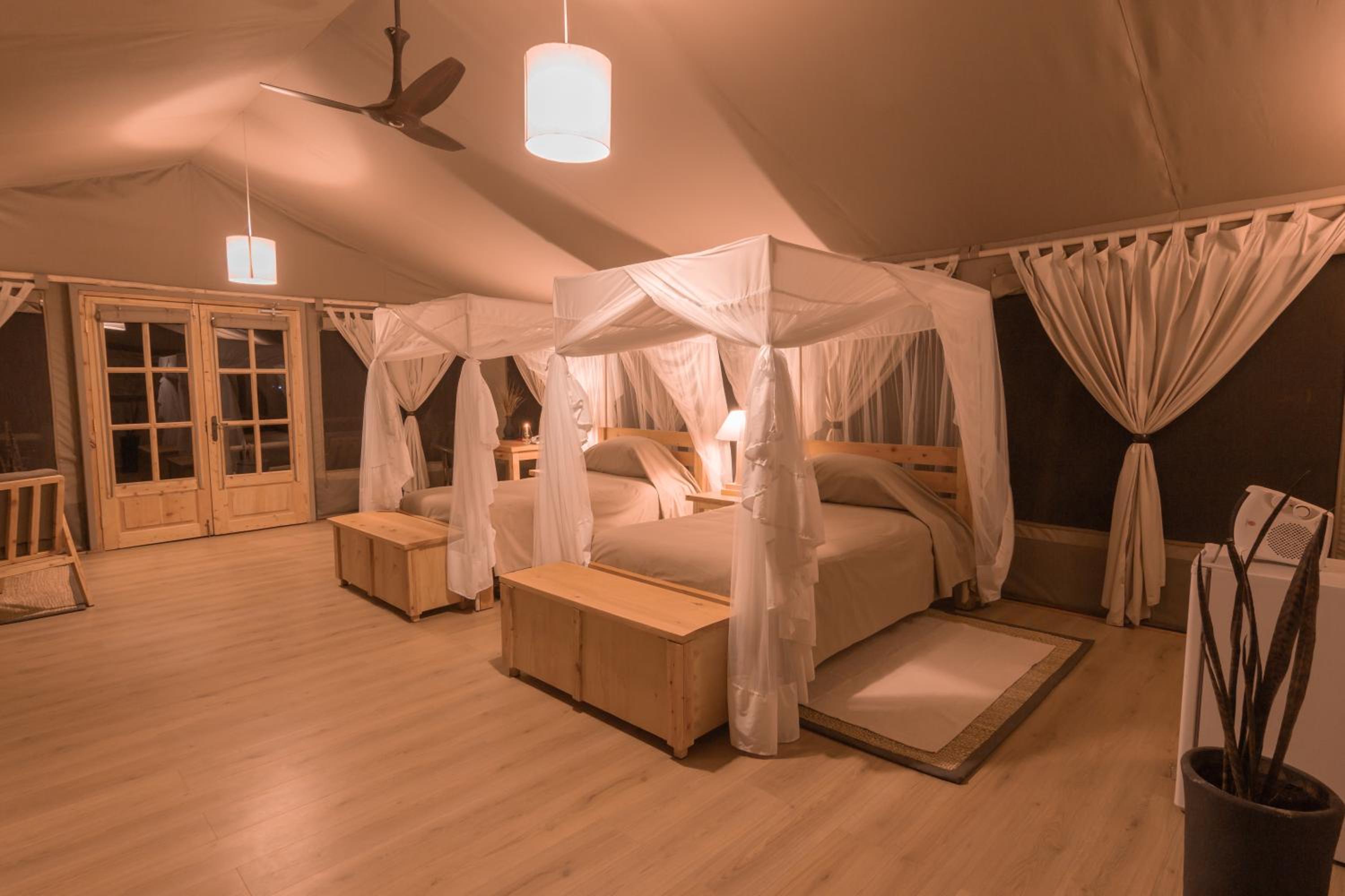 Deluxe Twin Room photo 1